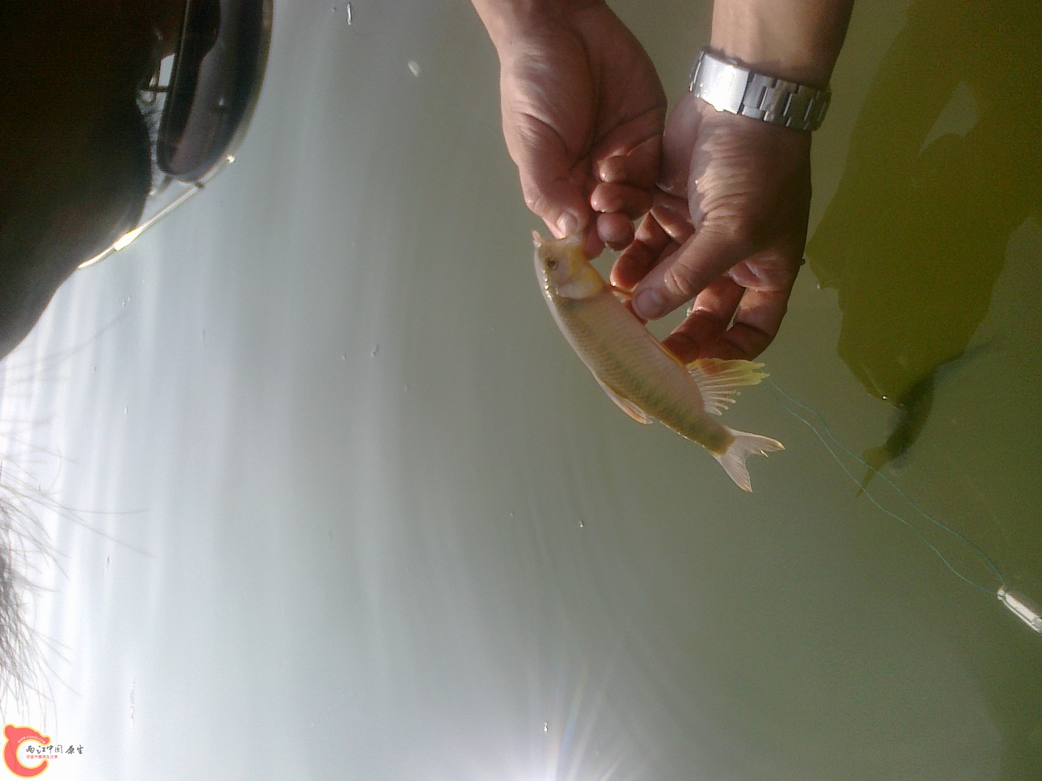 20110714180.jpg