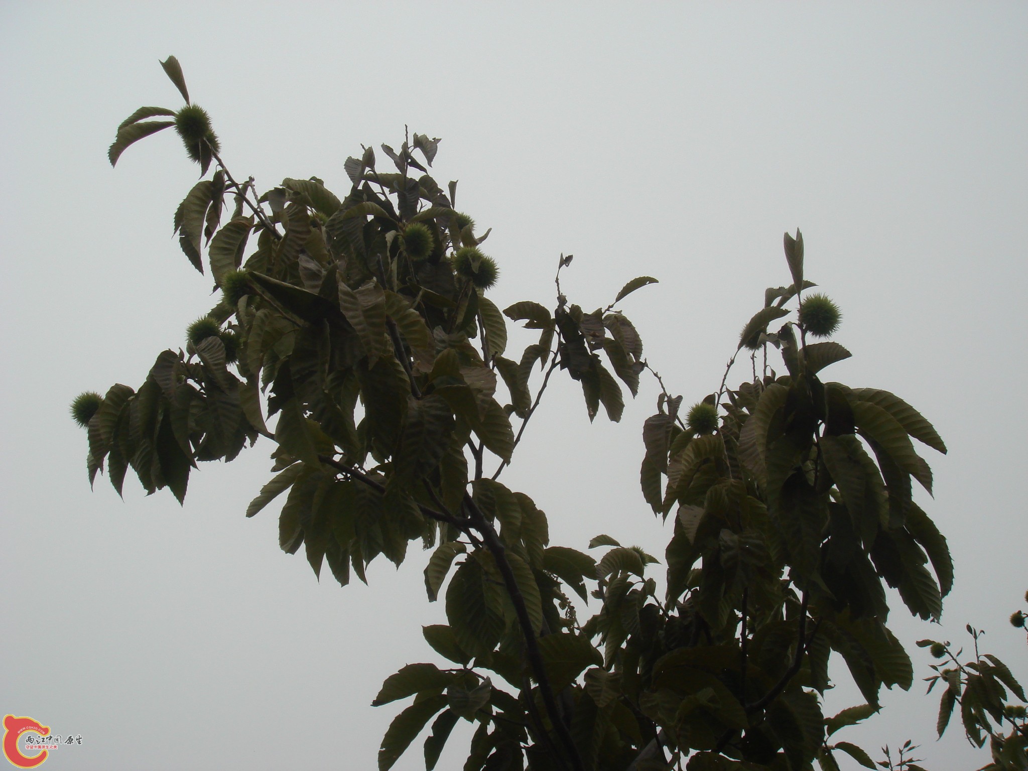 DSC06793.JPG