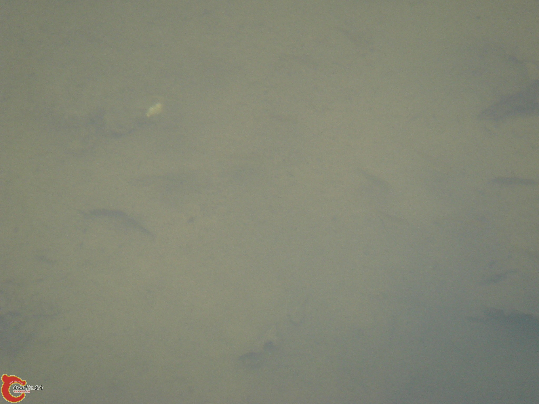 DSC06937.JPG