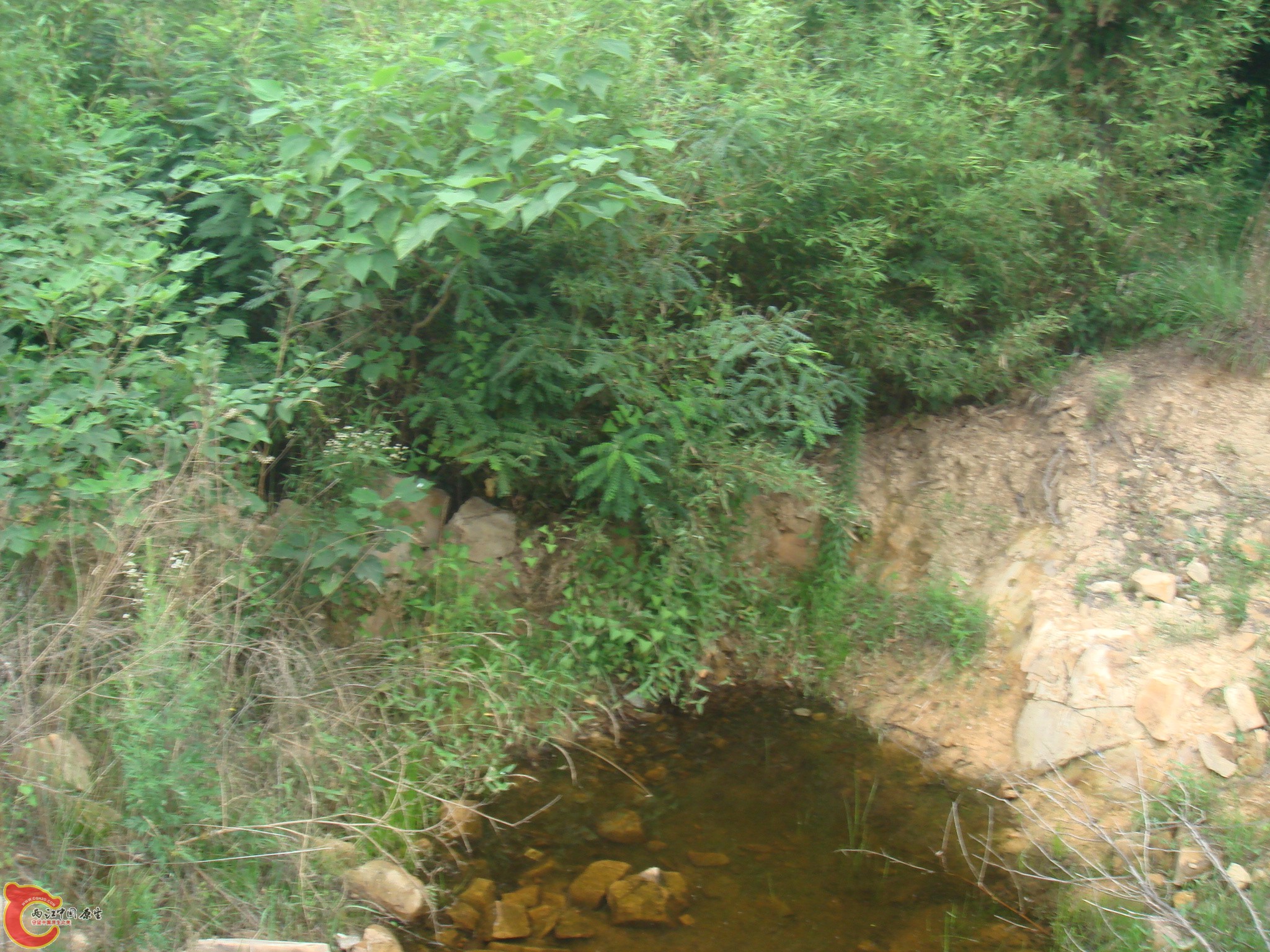 DSC06945.JPG