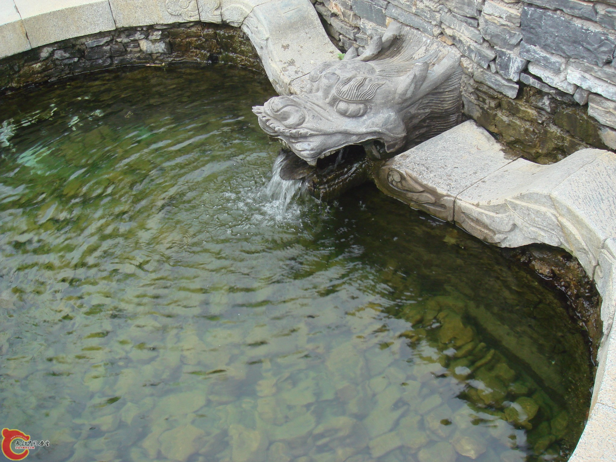 DSC07003.JPG