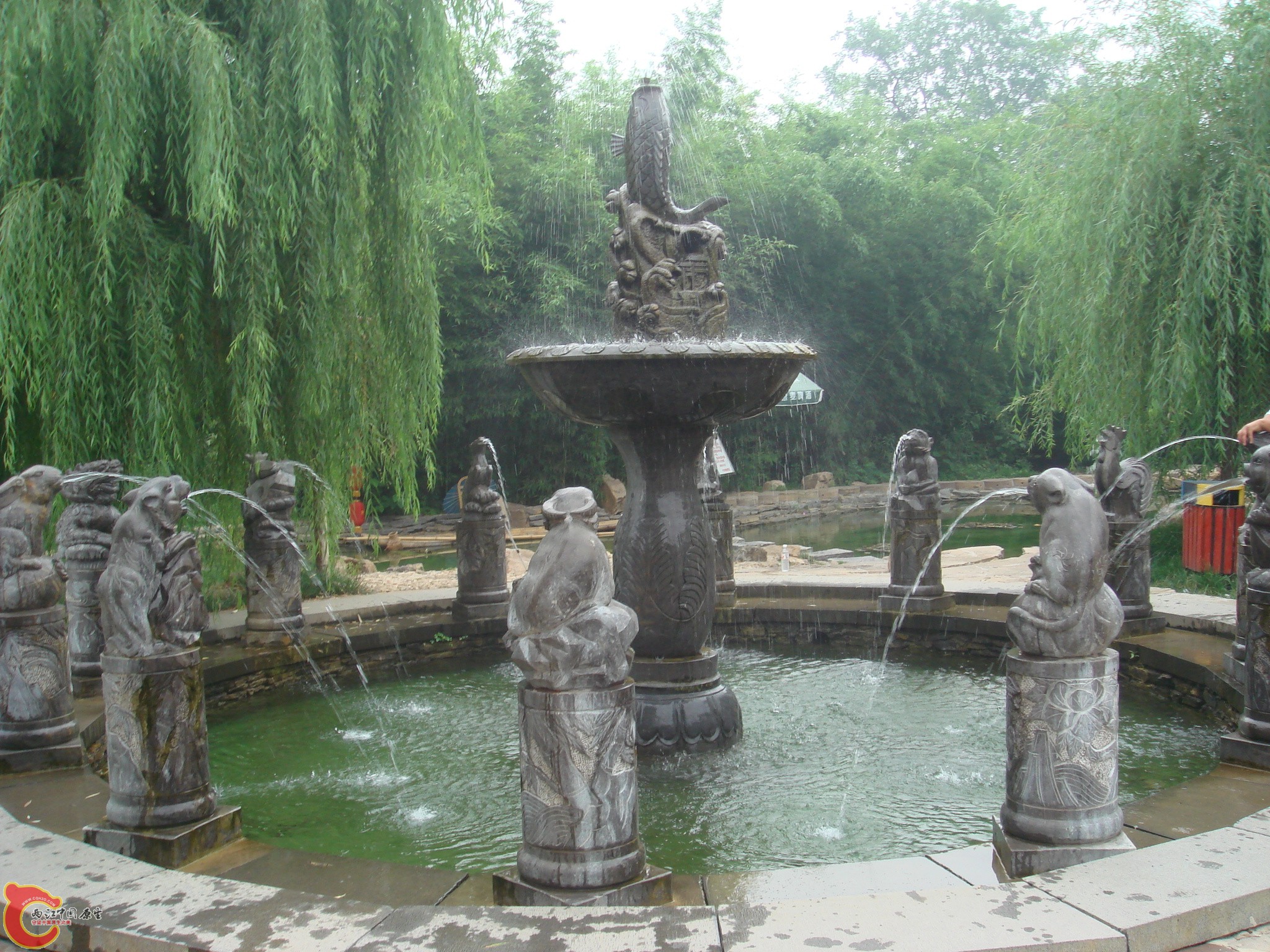 DSC07005.JPG