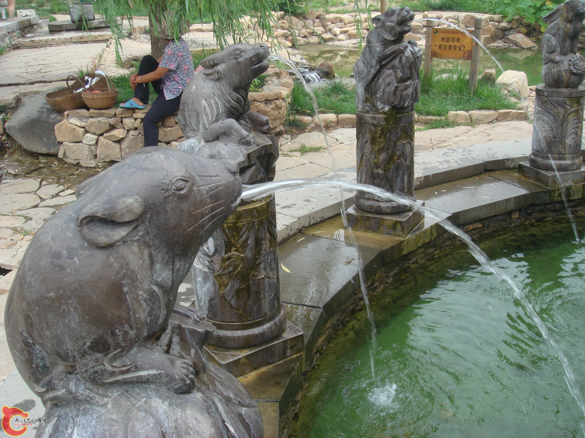 DSC07008.JPG