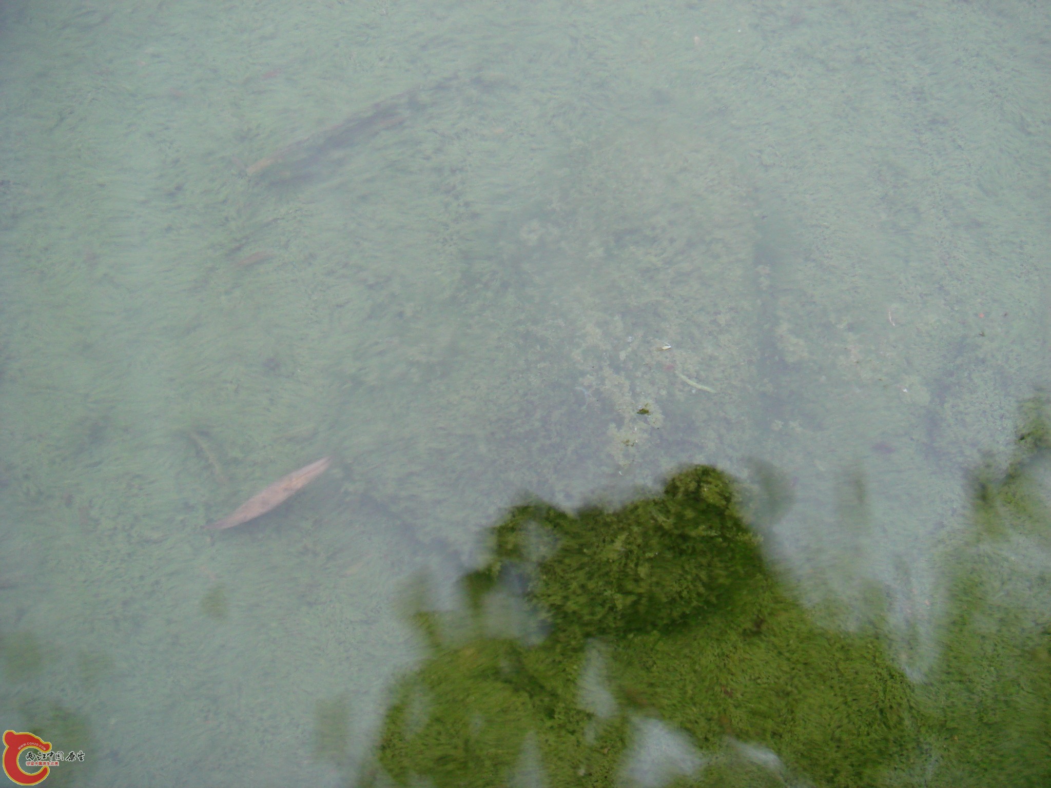 DSC07014.JPG
