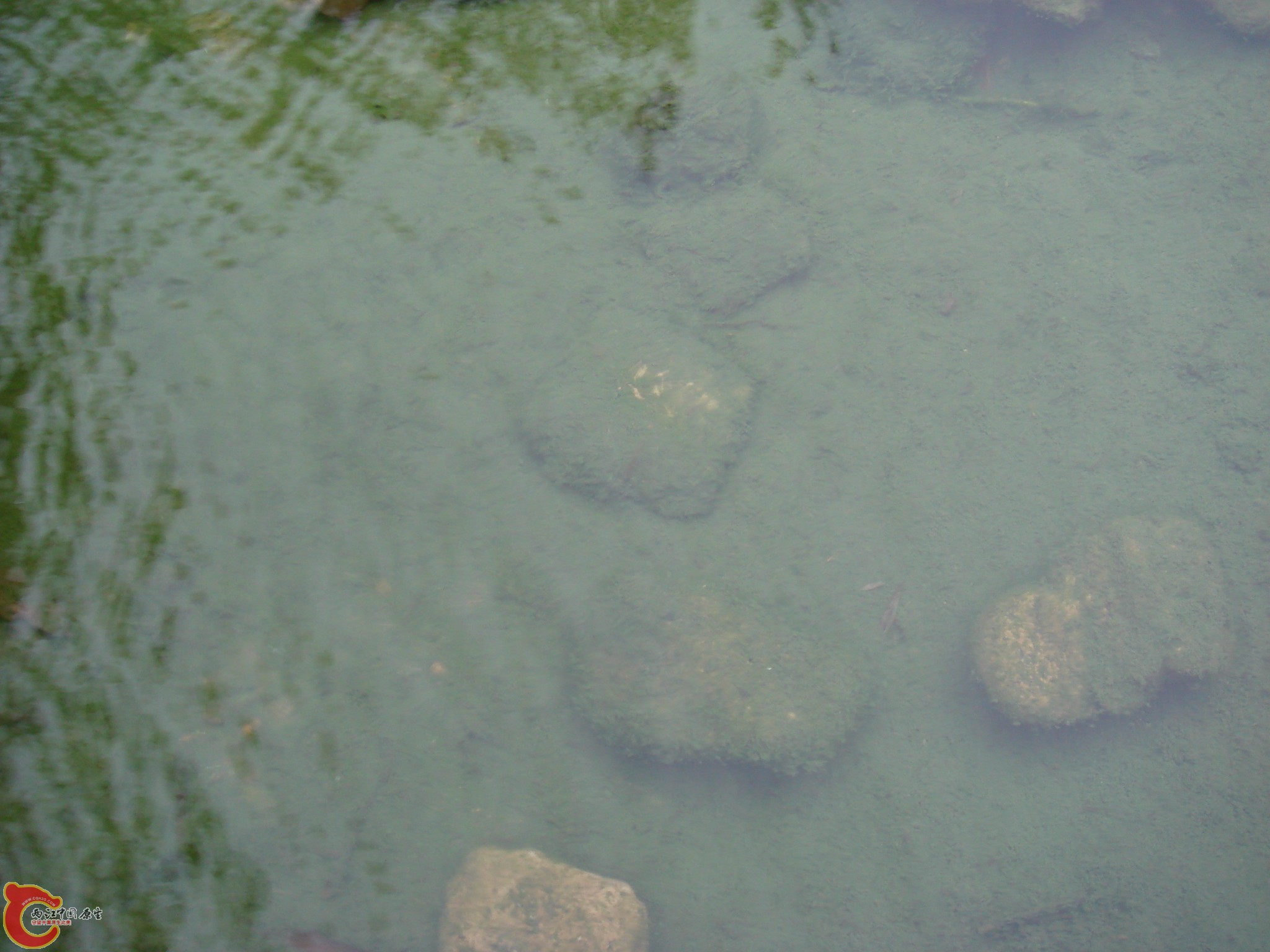 DSC07015.JPG