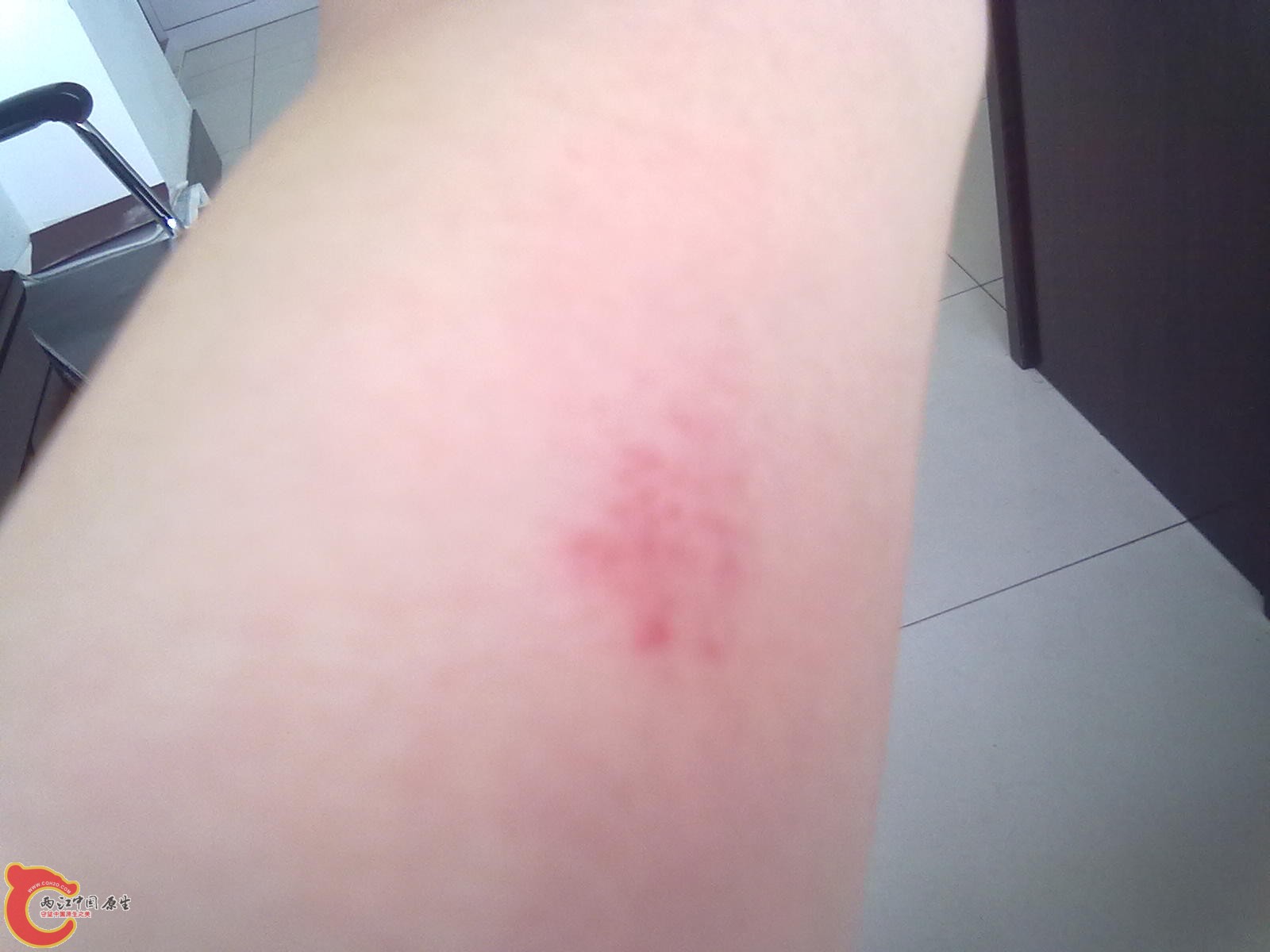 20110706463.jpg