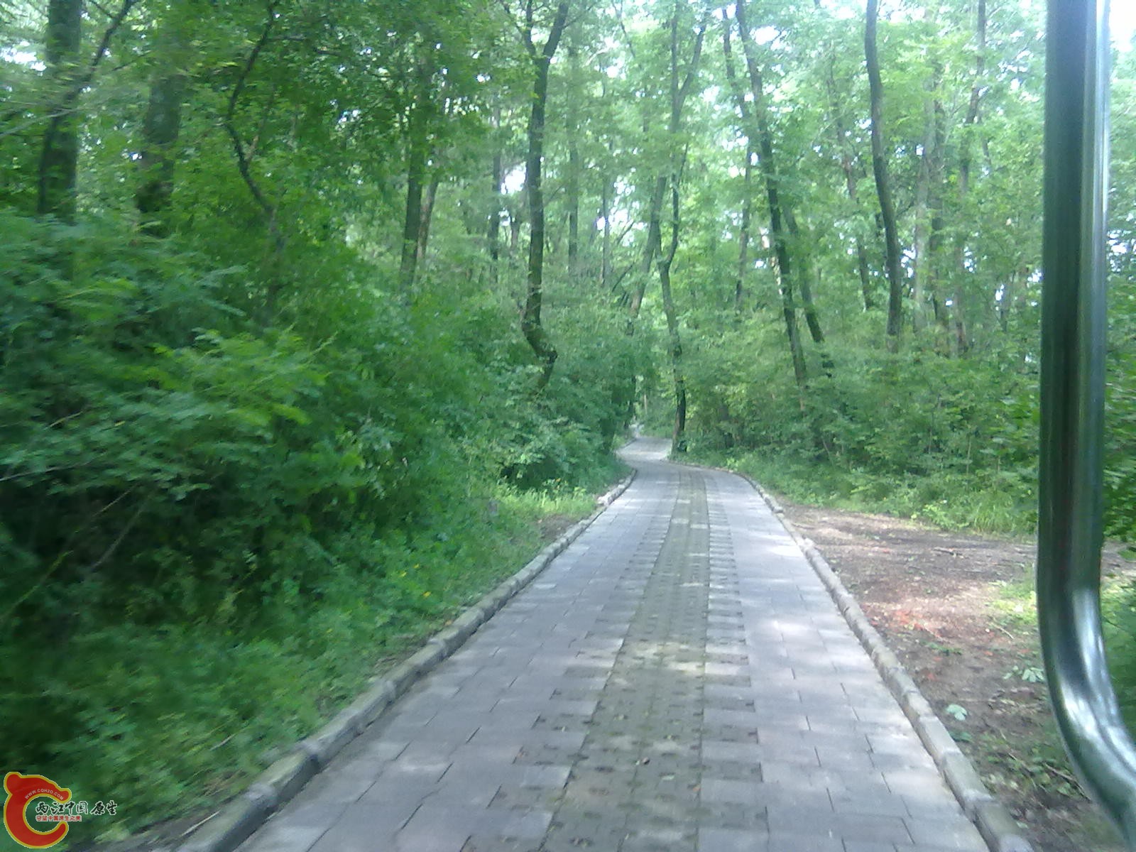 20110709469.jpg