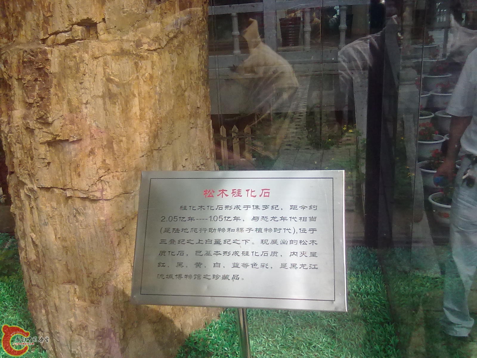 20110709473.jpg