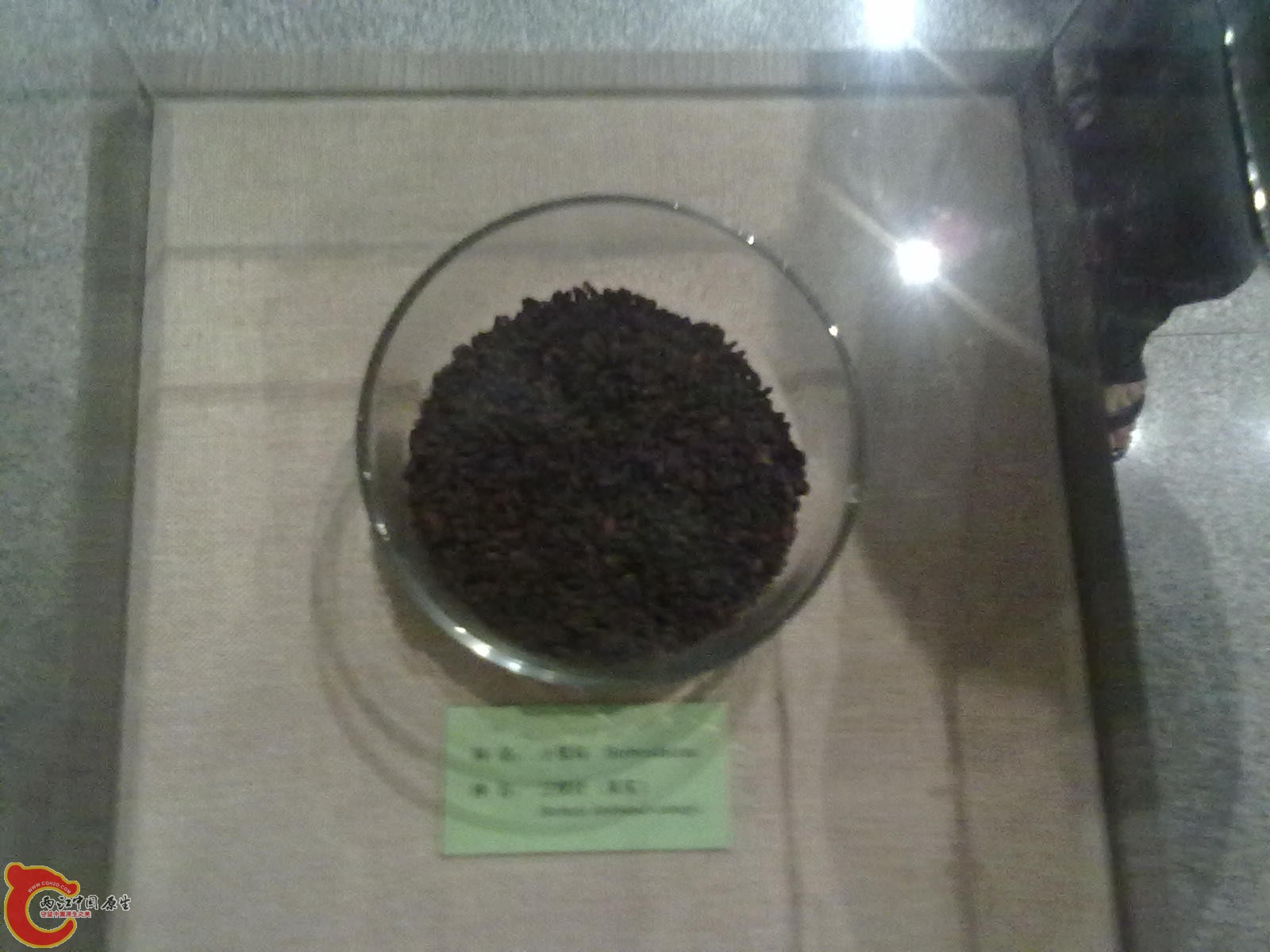 20110709478.jpg