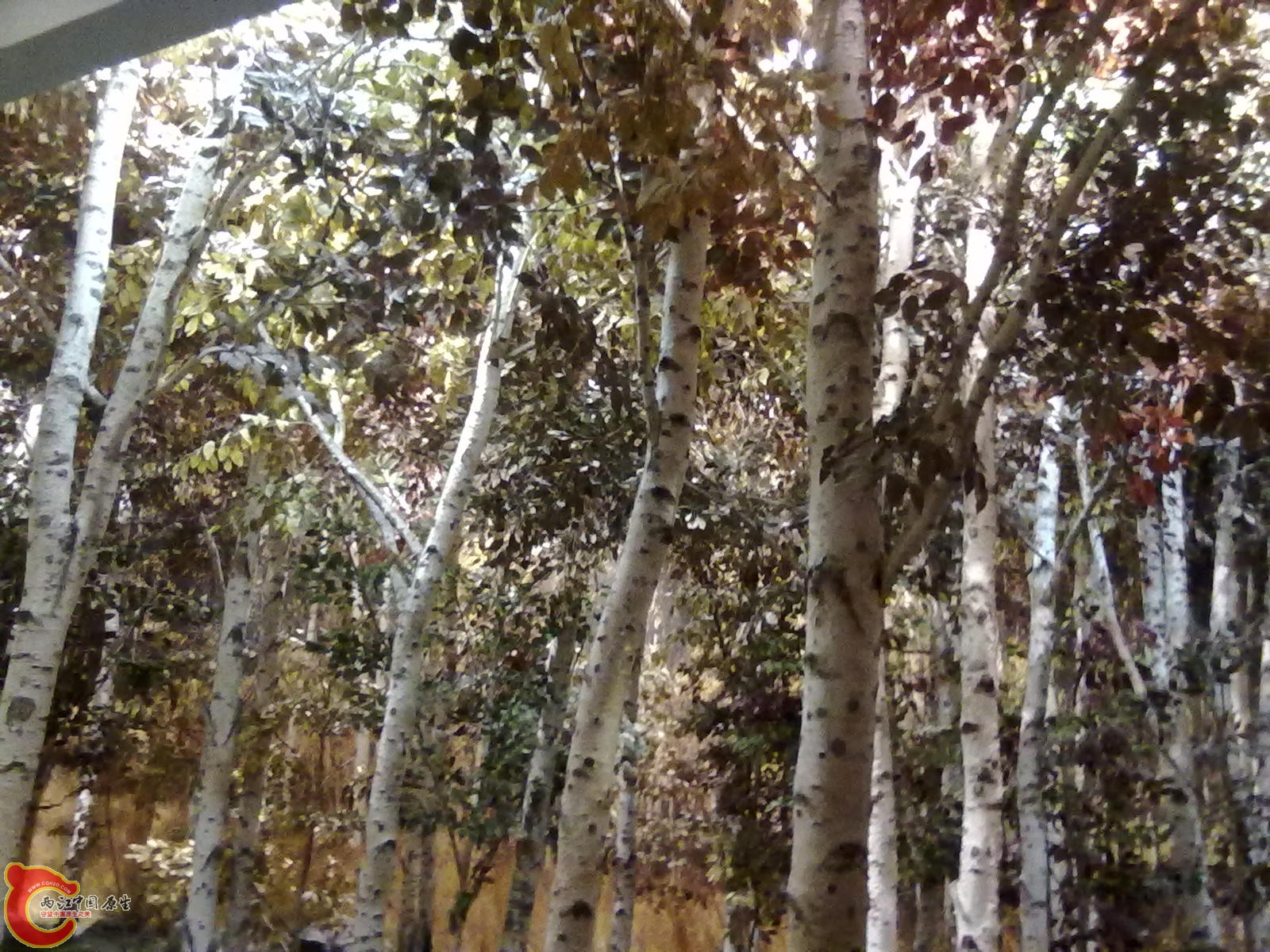 20110709479.jpg