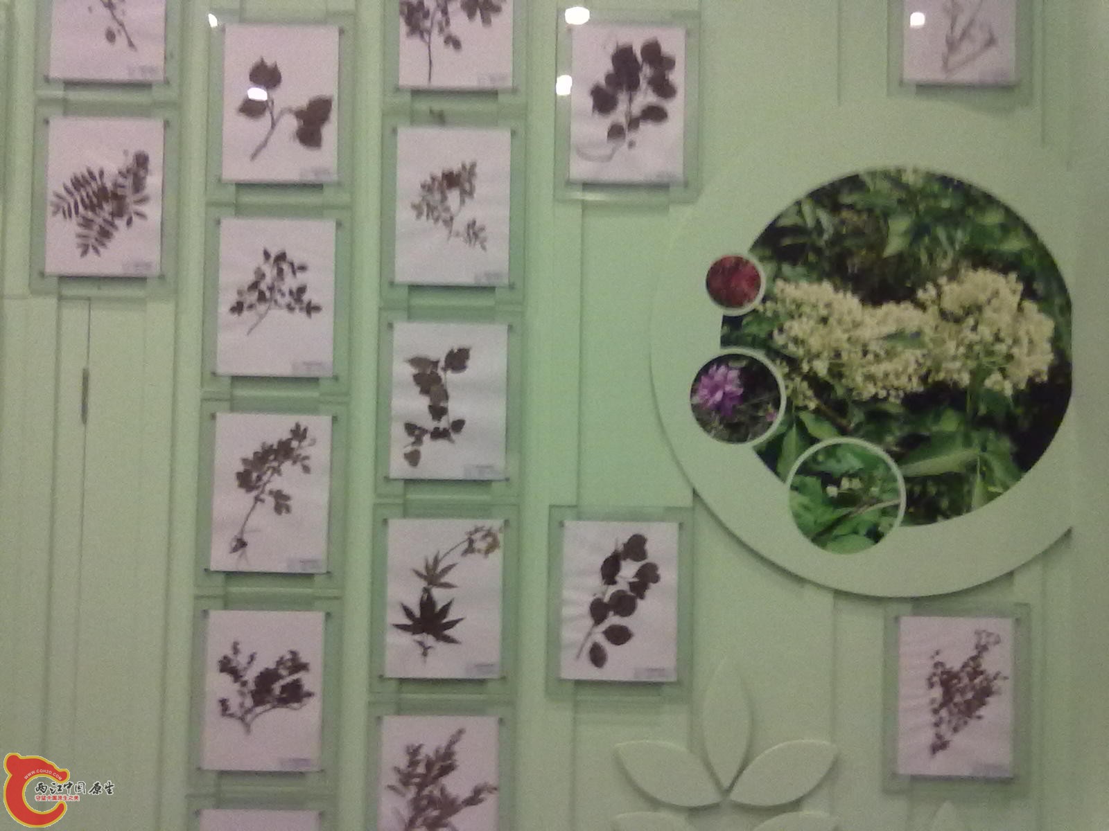 20110709480.jpg