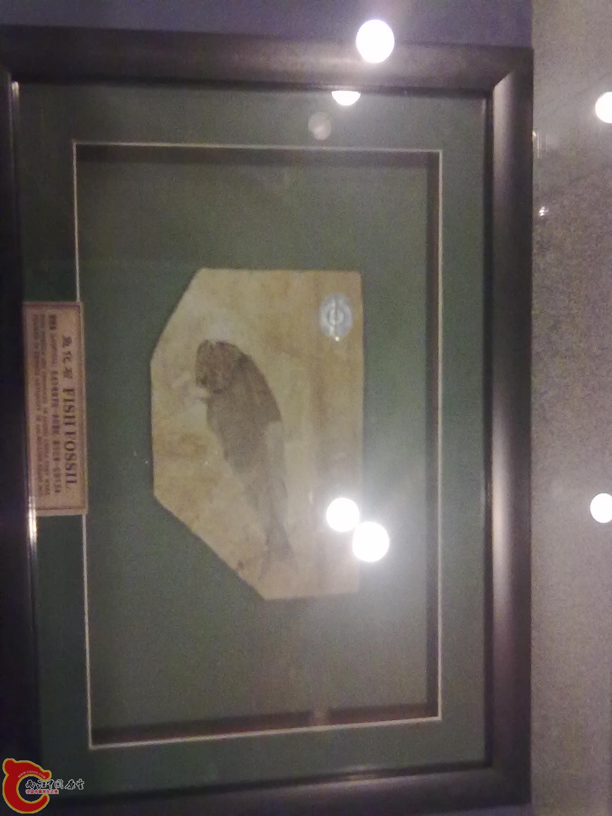 20110709481.jpg