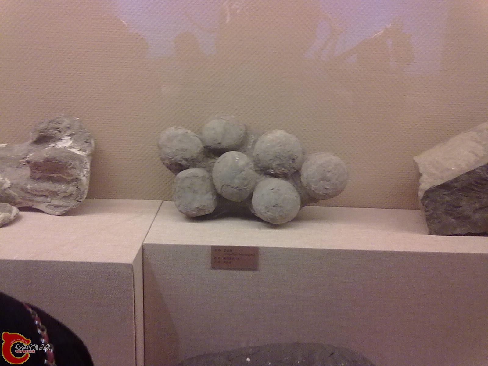 20110709482.jpg