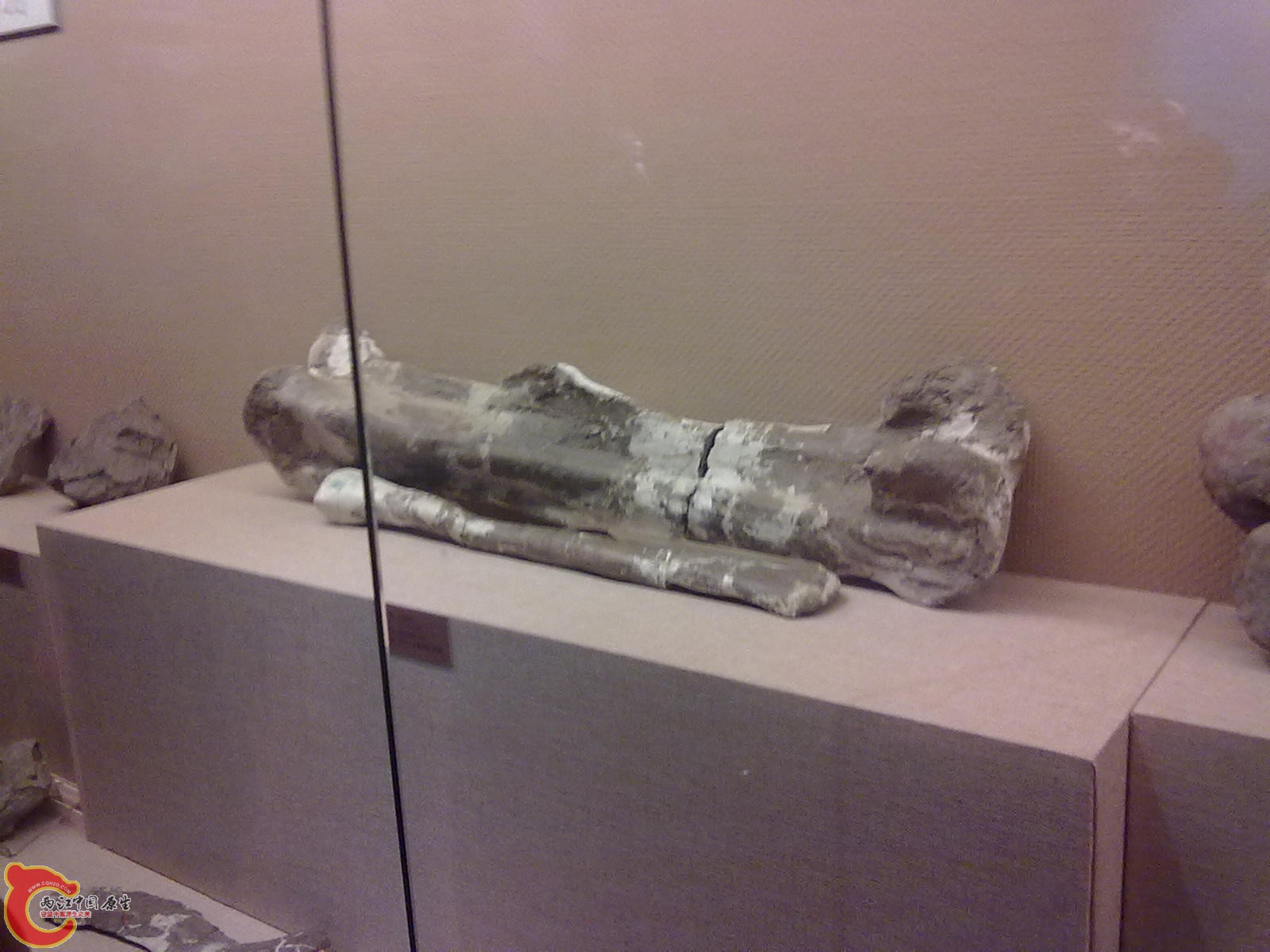 20110709483.jpg