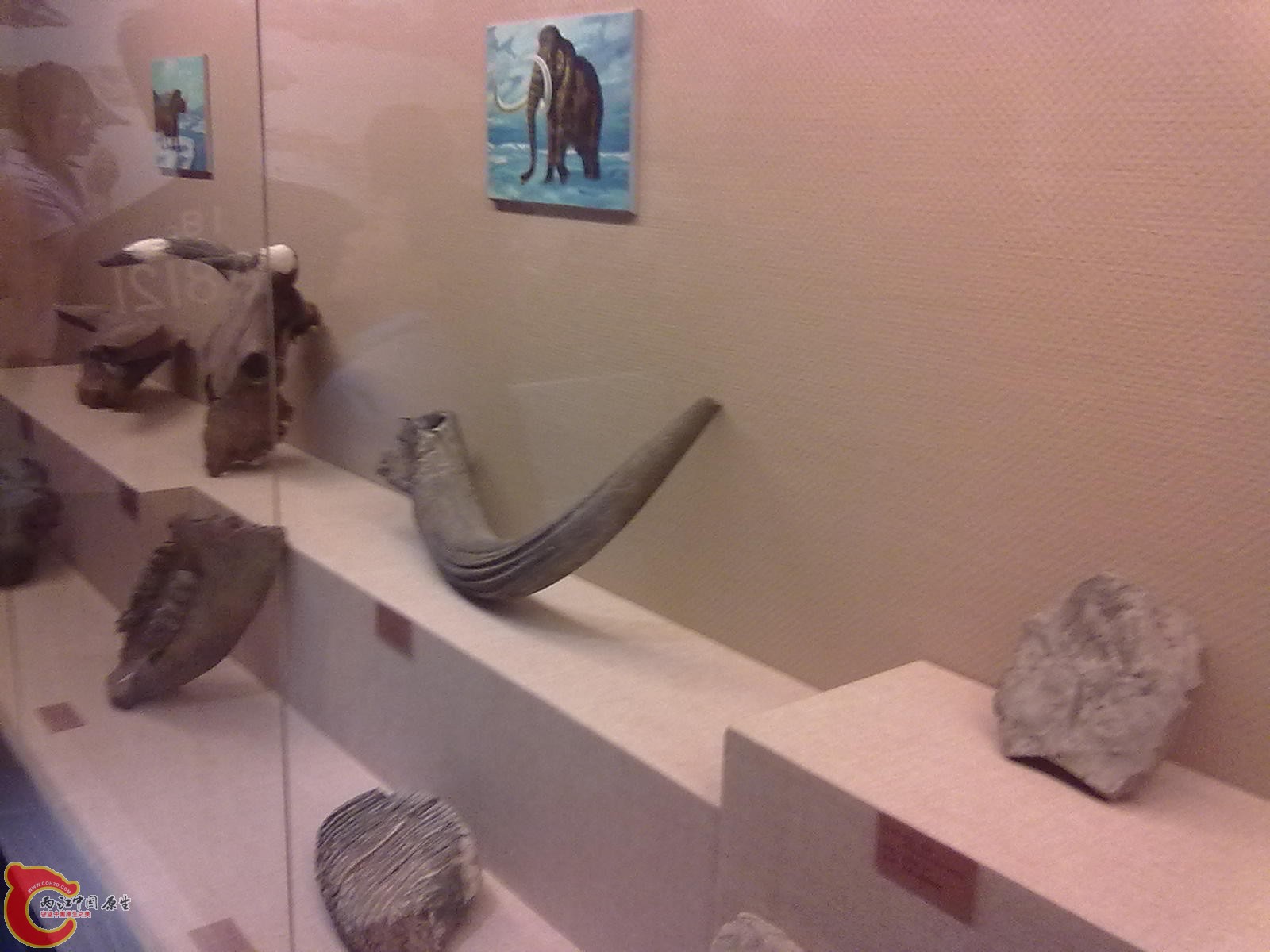 20110709484.jpg
