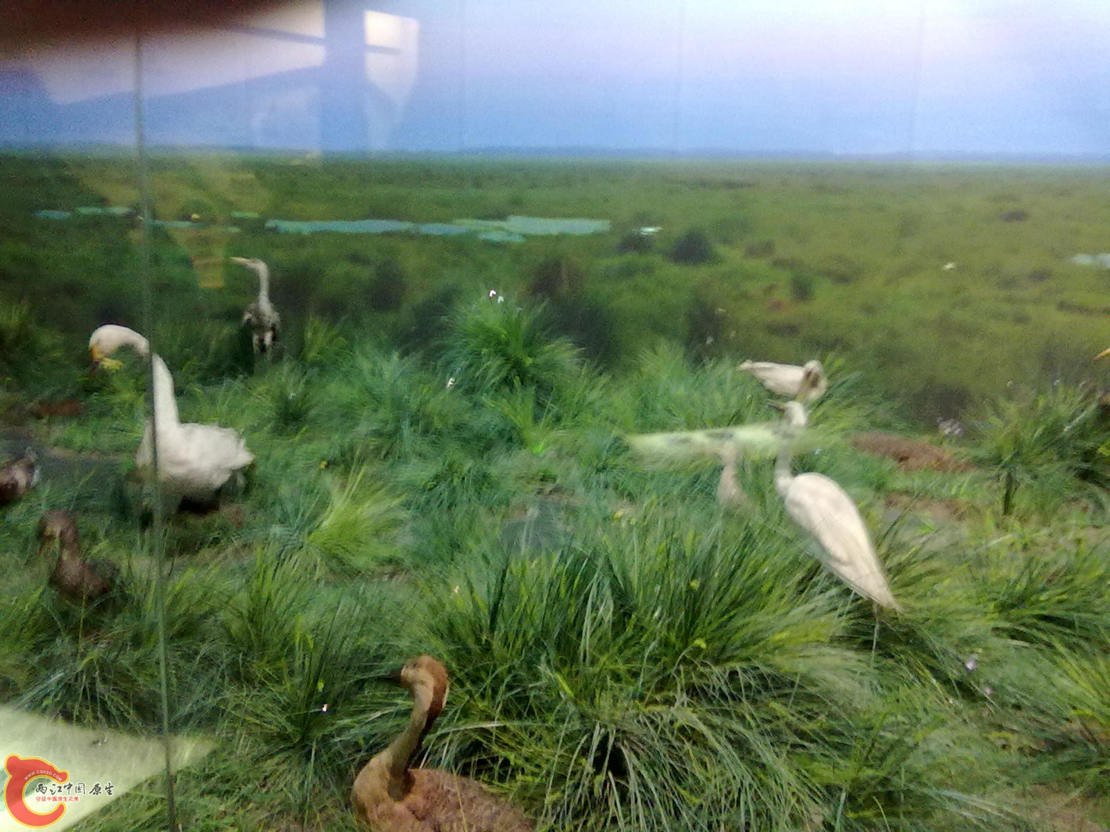 20110709485.jpg