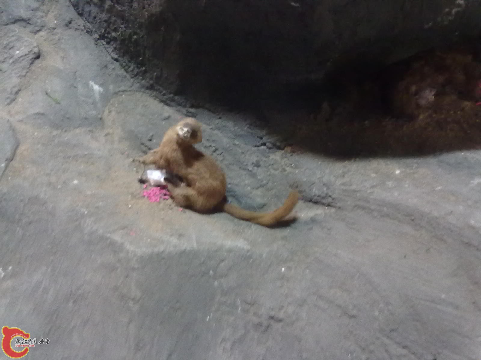 20110709486.jpg