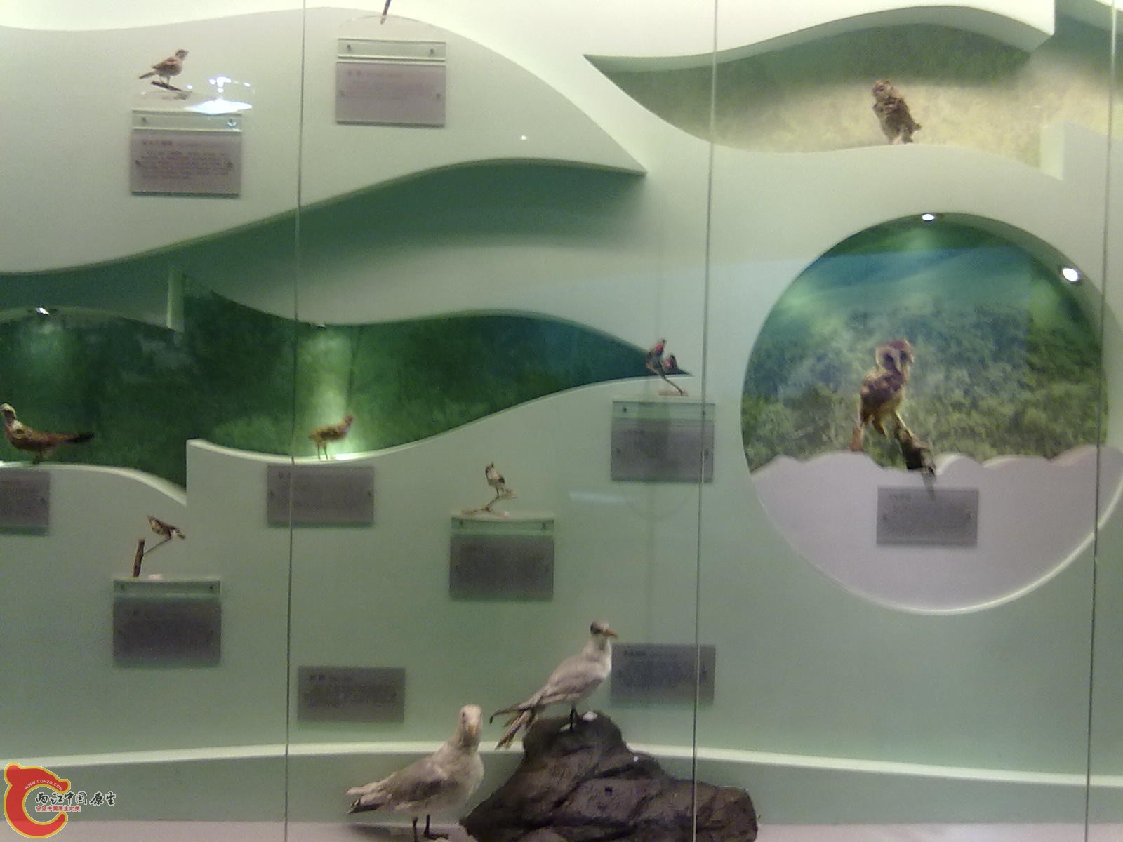 20110709488.jpg