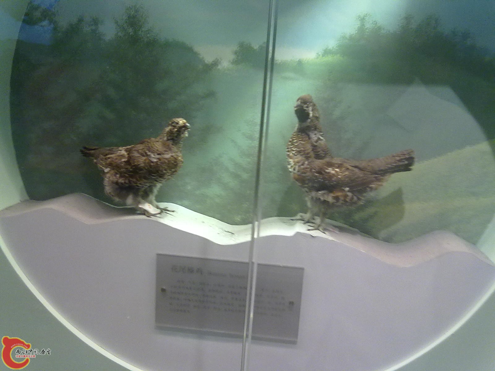 20110709490.jpg