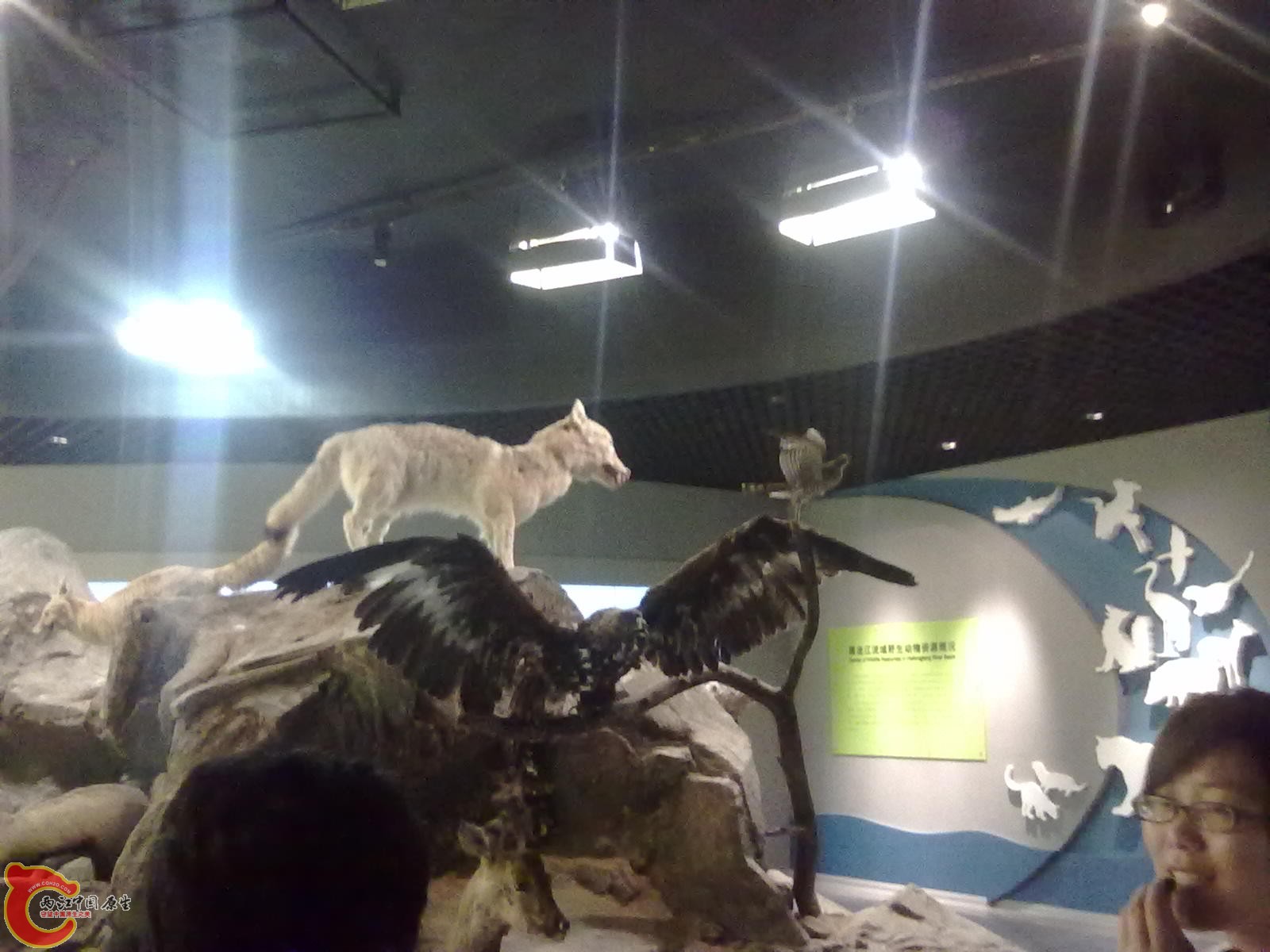 20110709492.jpg