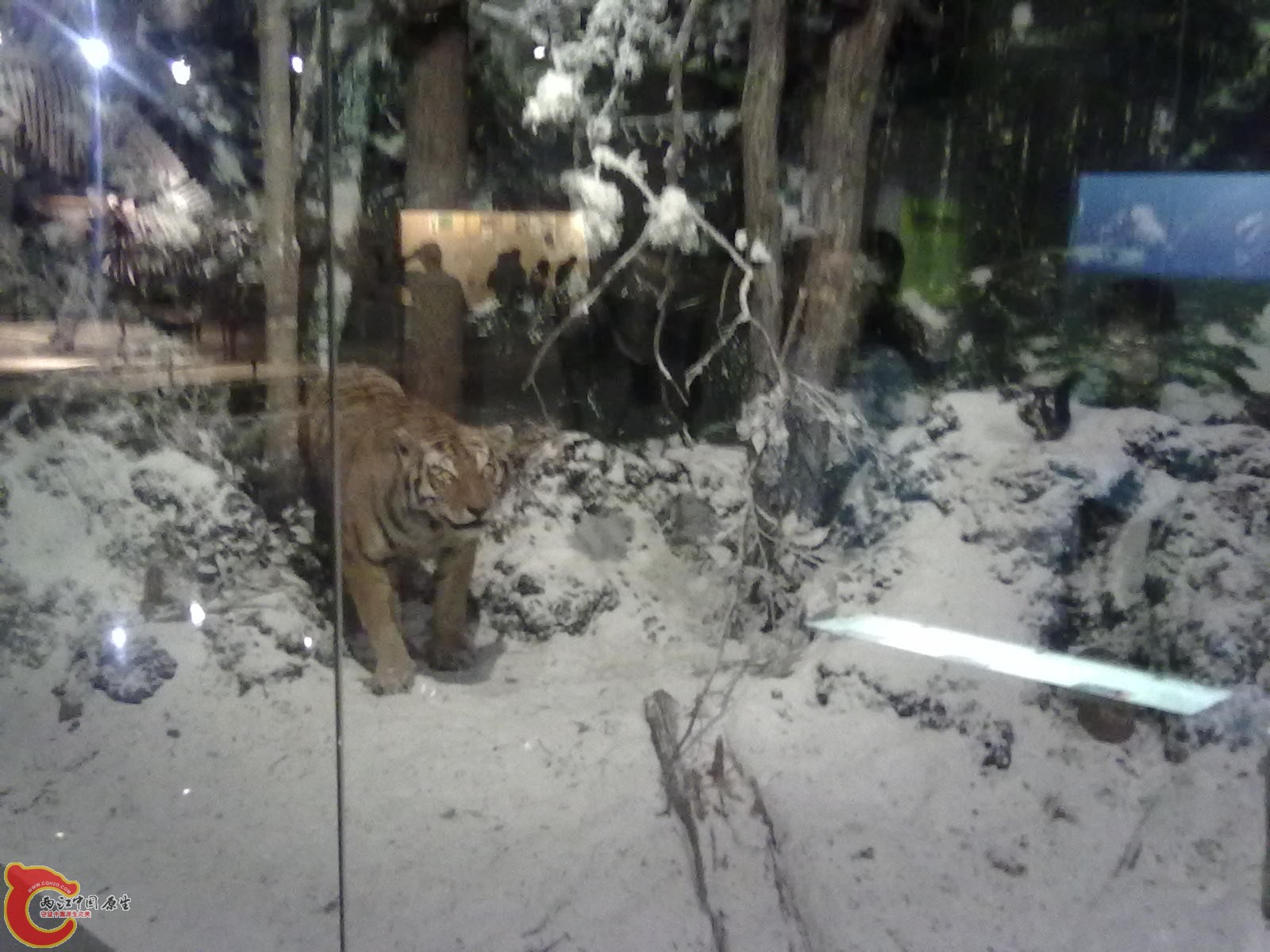 20110709494.jpg