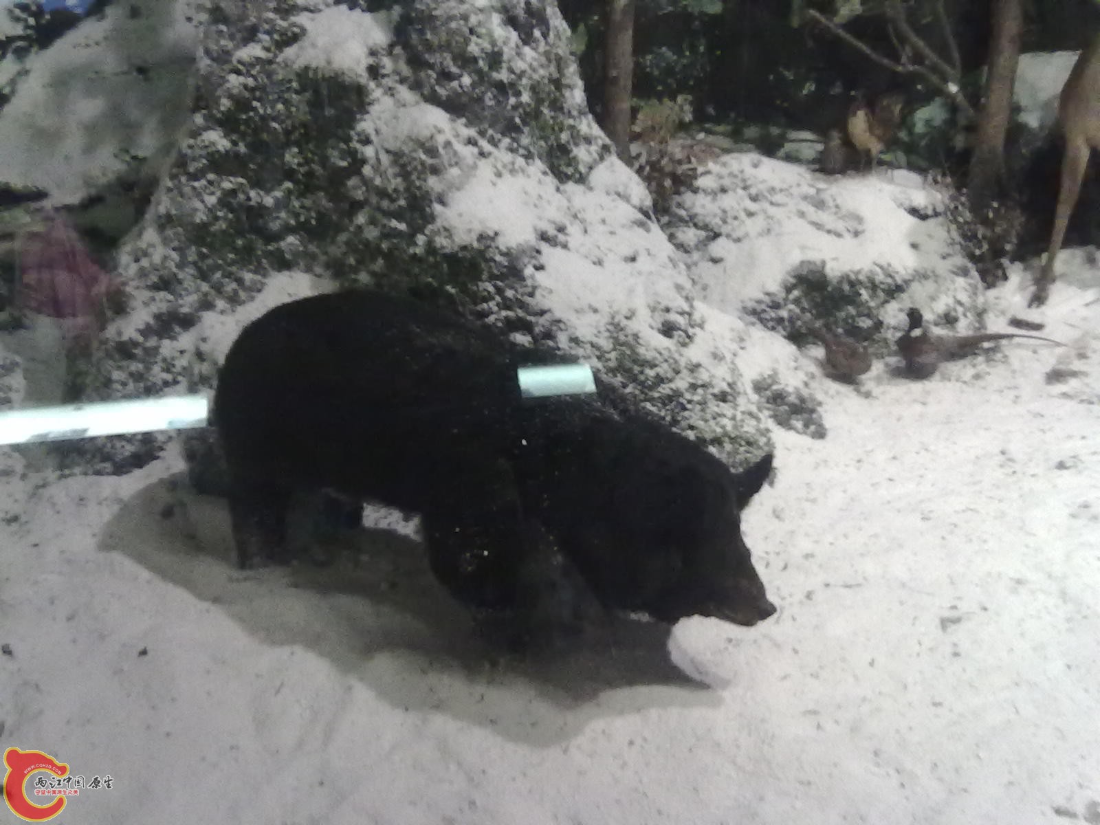 20110709495.jpg