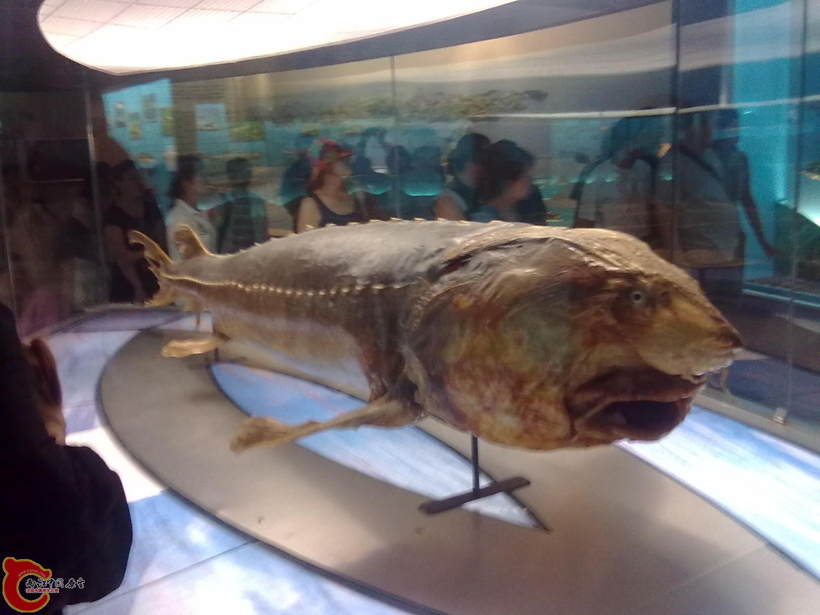 20110709502.jpg
