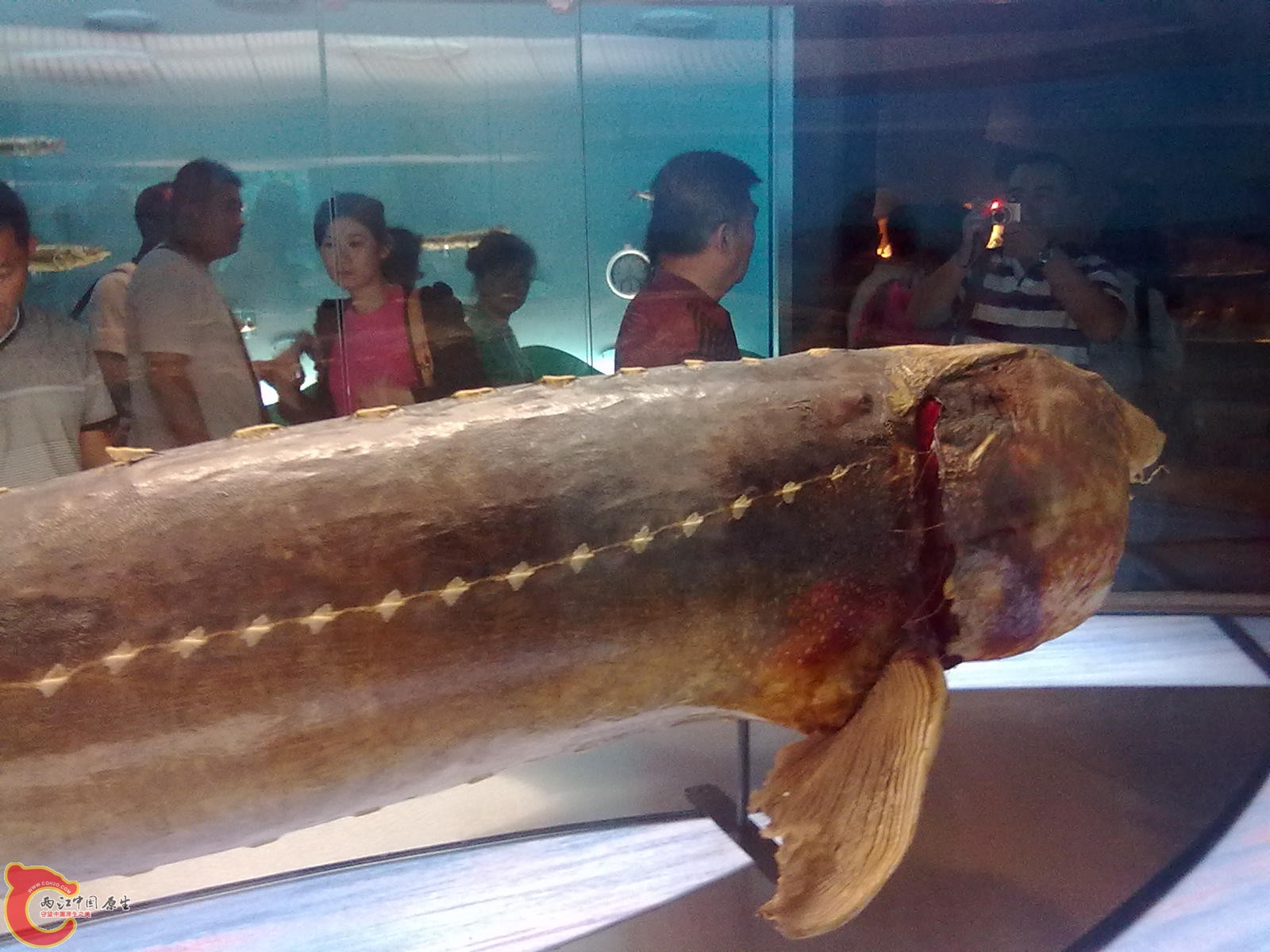 20110709504.jpg