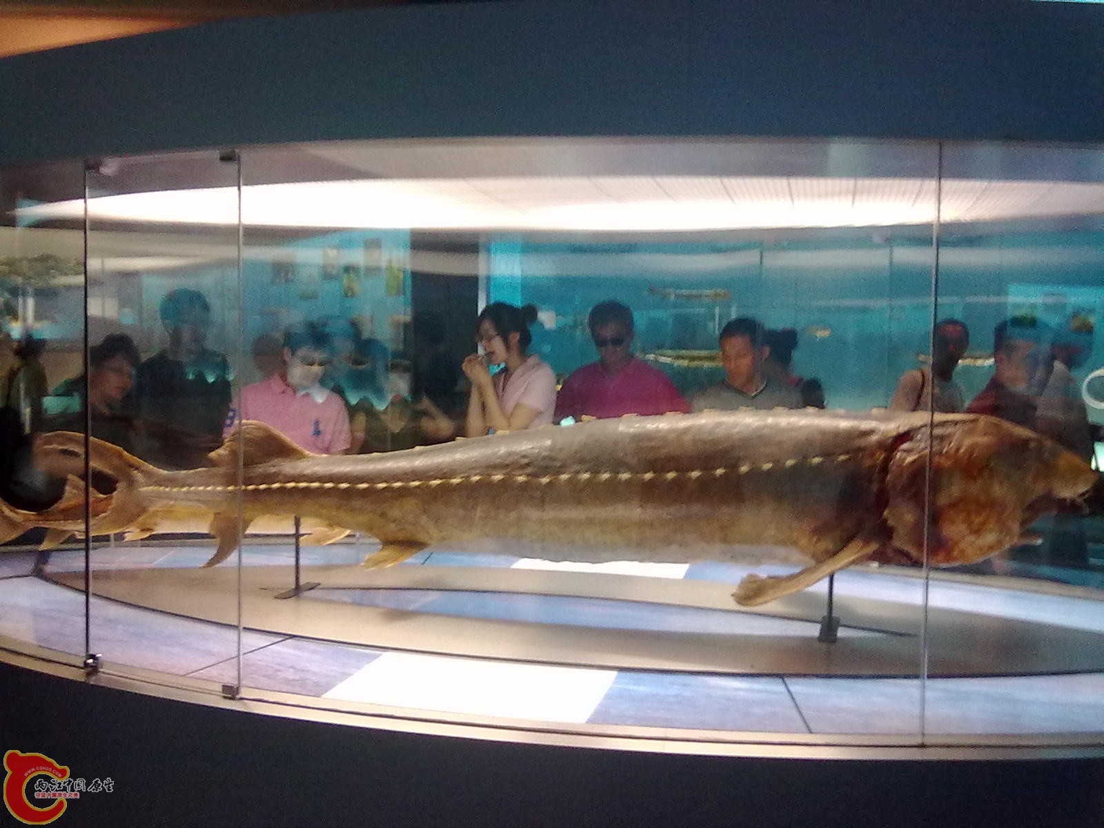 20110709505.jpg
