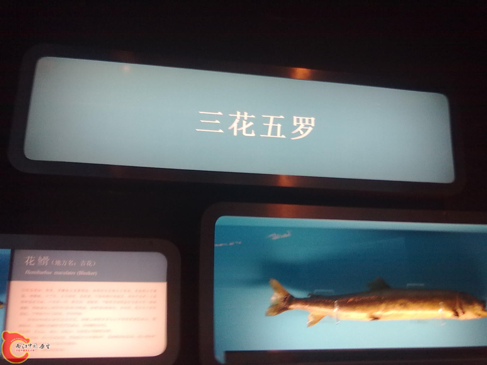 20110709509.jpg
