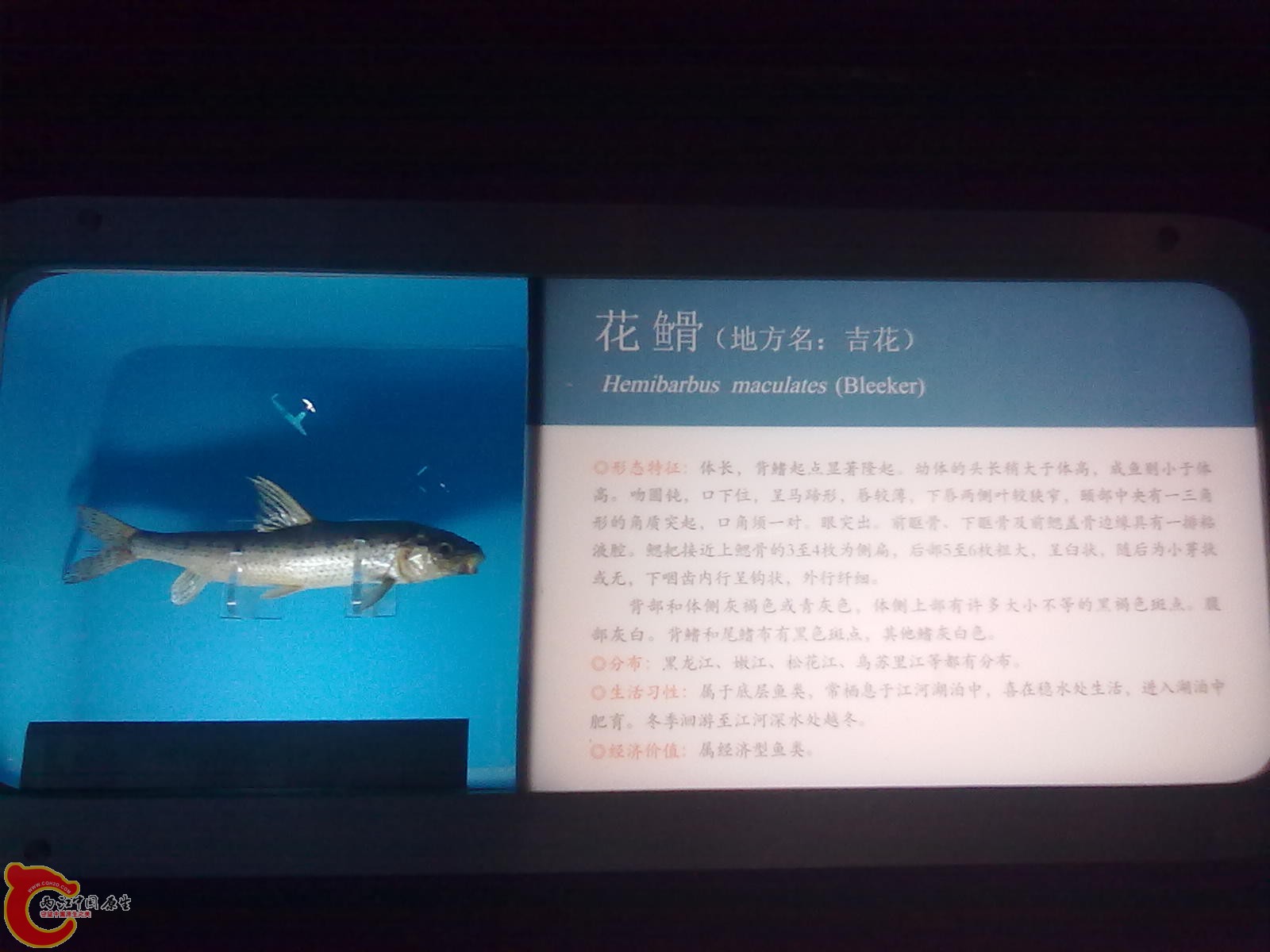 20110709510.jpg