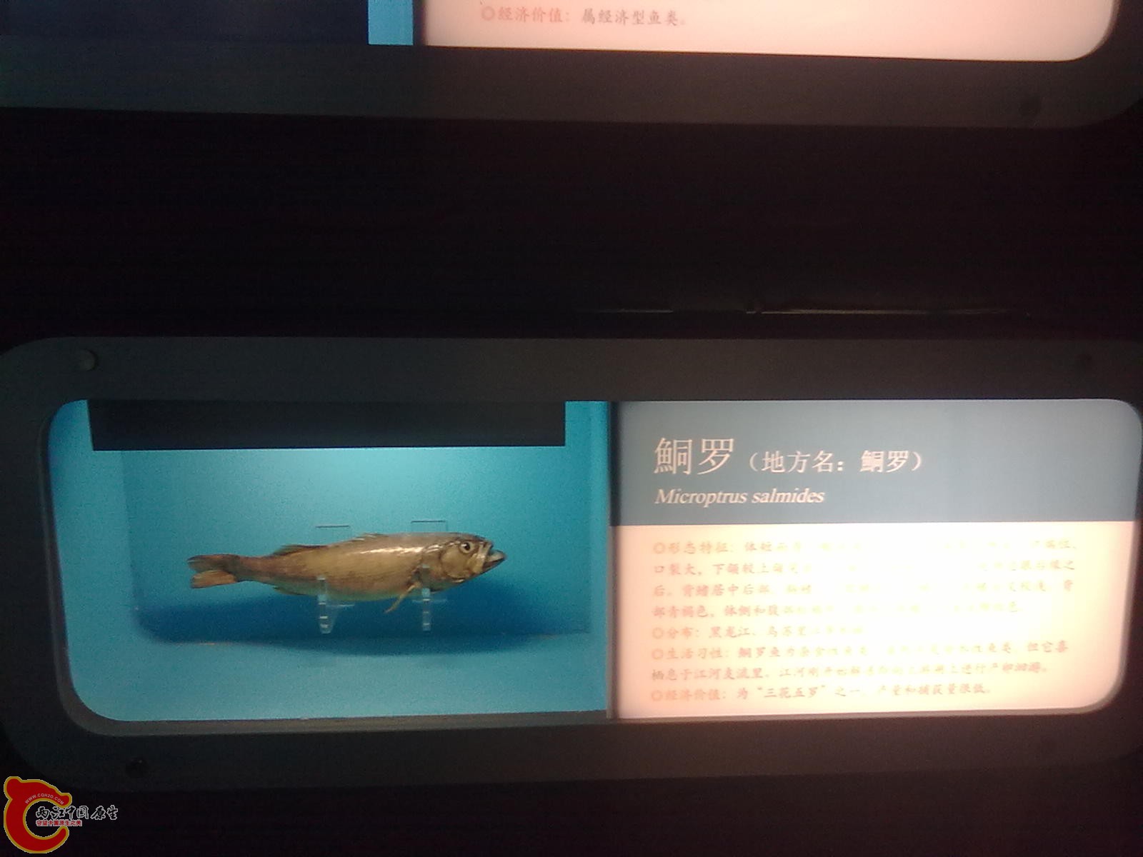 20110709511.jpg