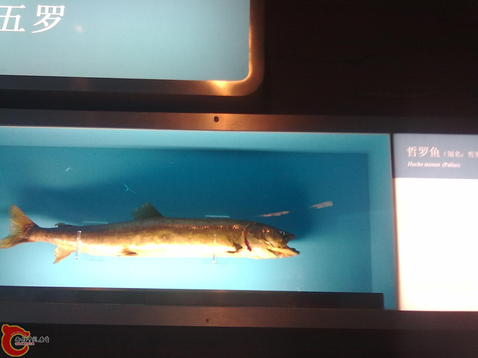 20110709512.jpg