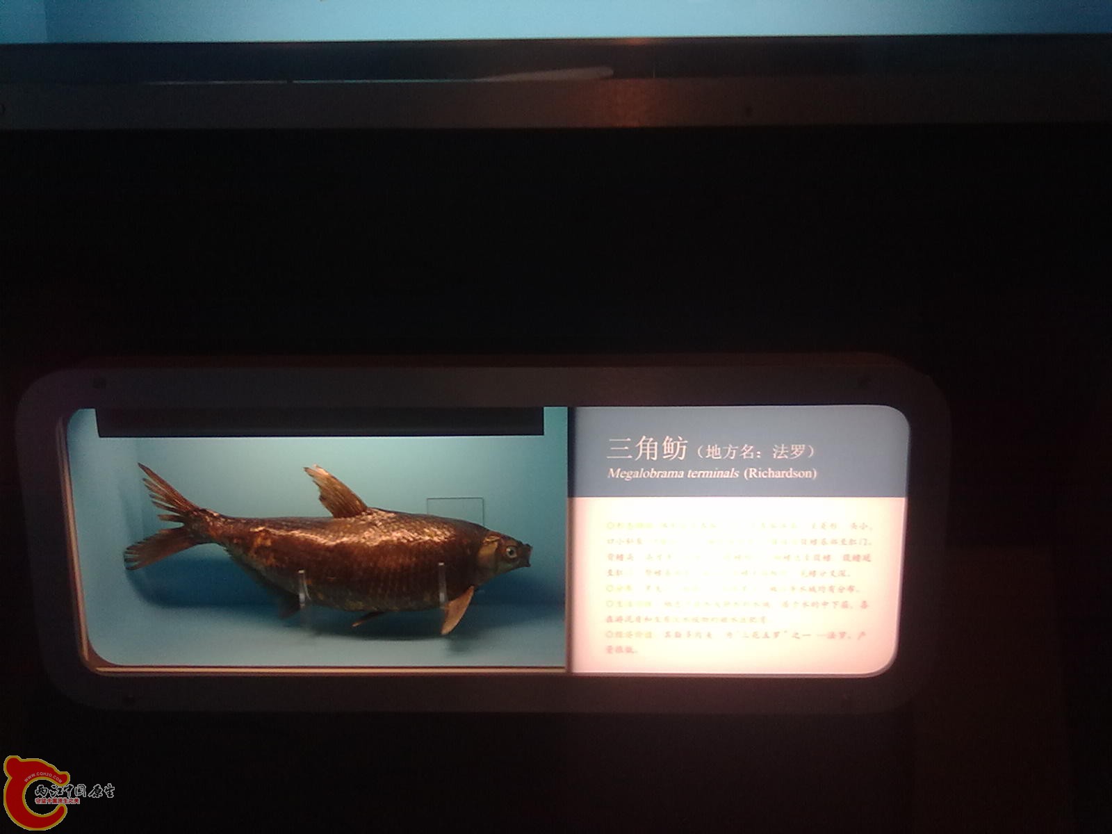 20110709513.jpg