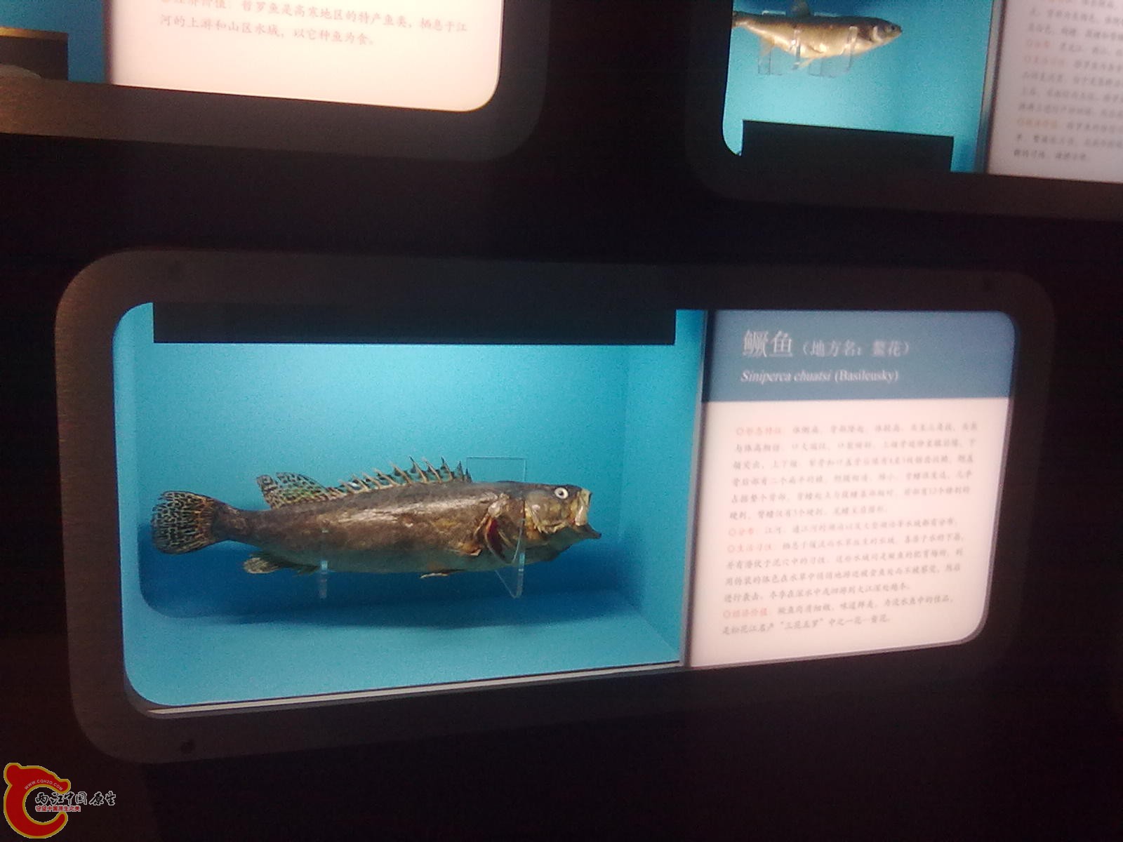 20110709514.jpg