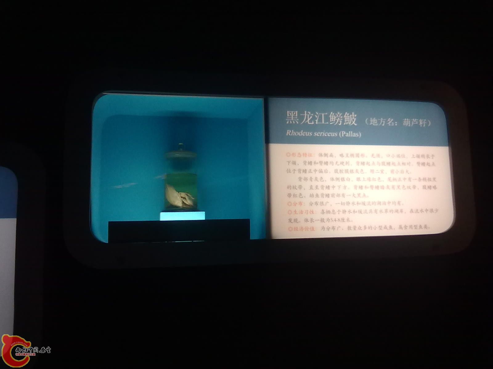 20110709517.jpg
