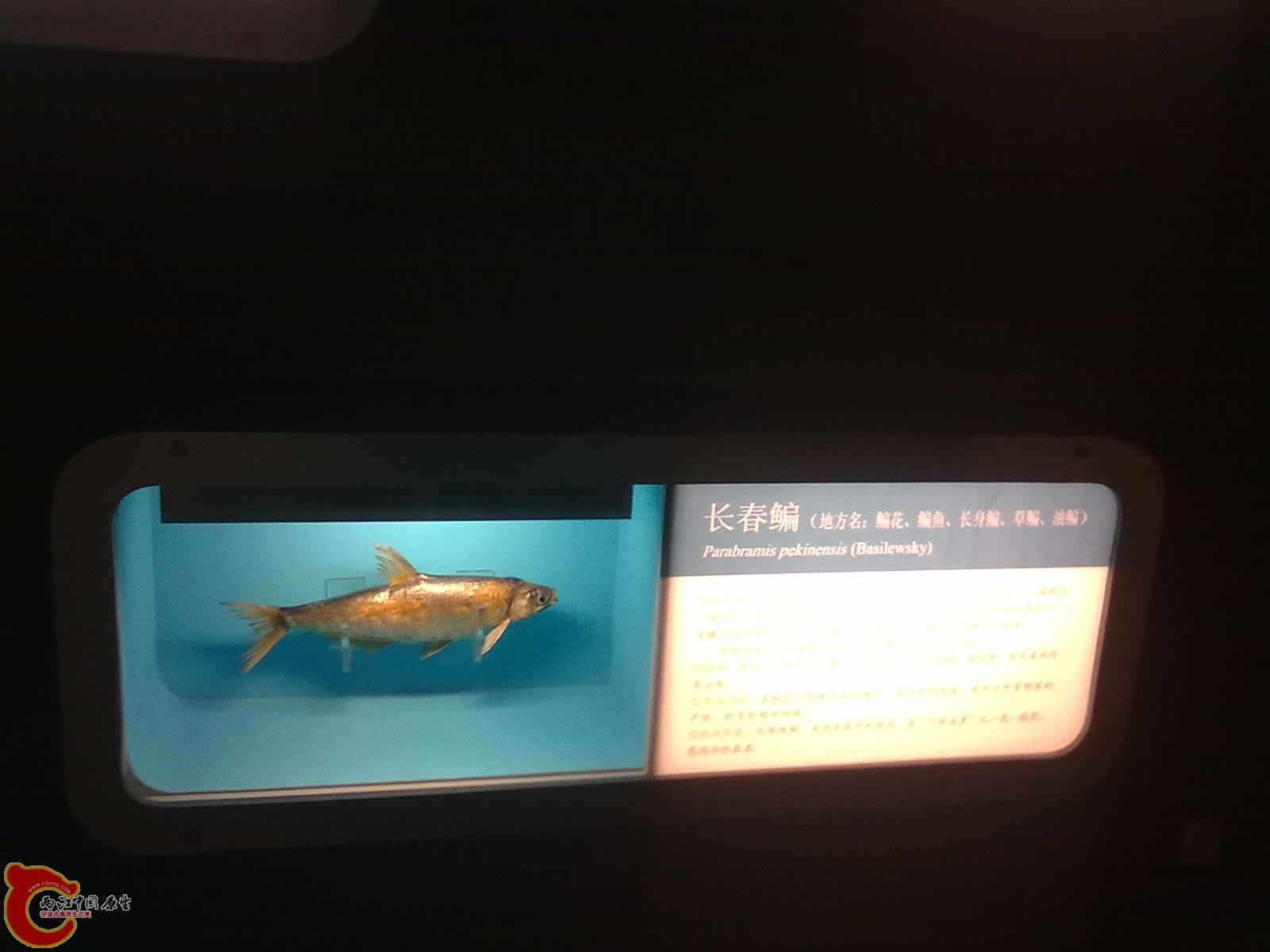 20110709516.jpg