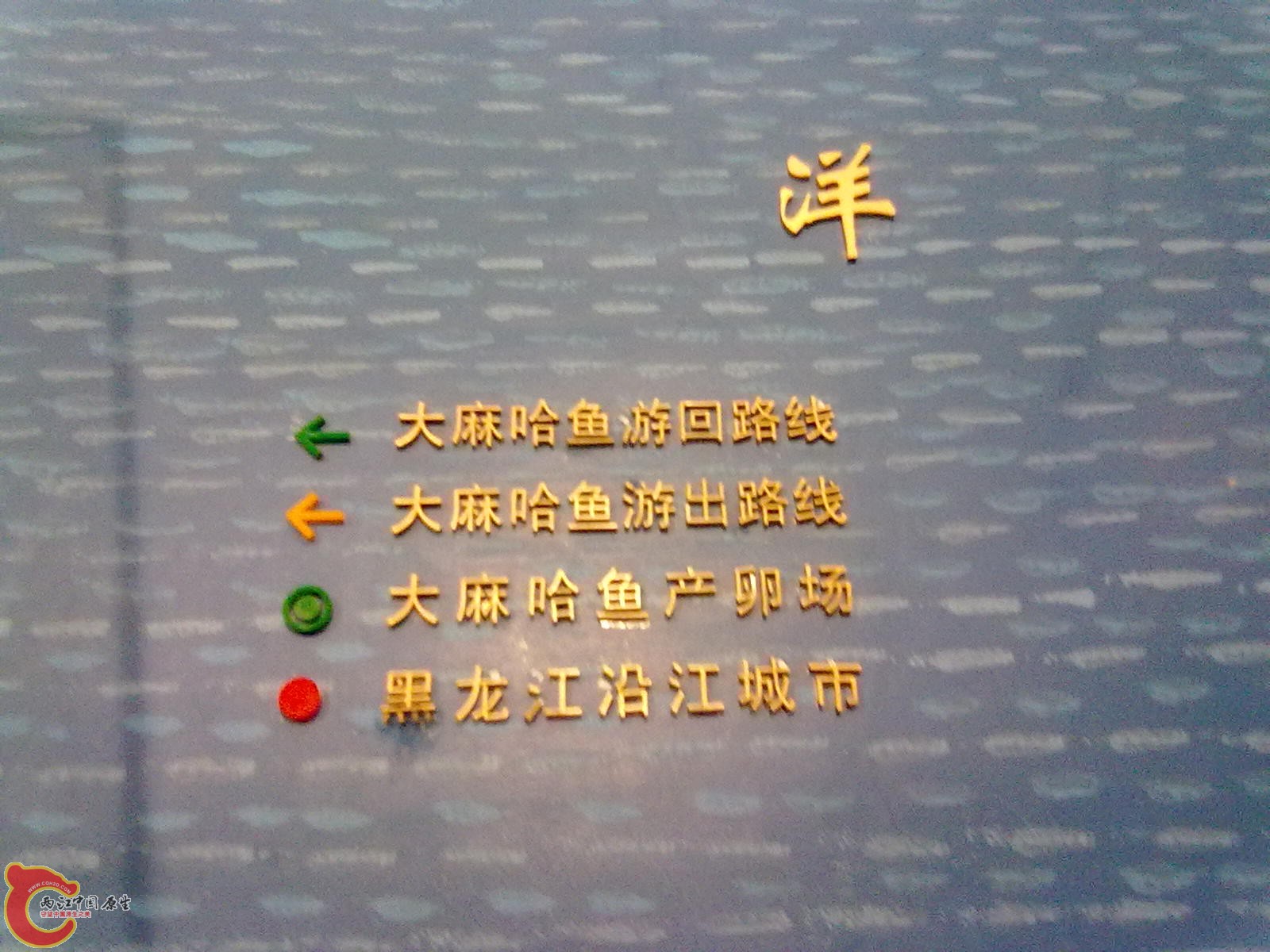 20110709521.jpg