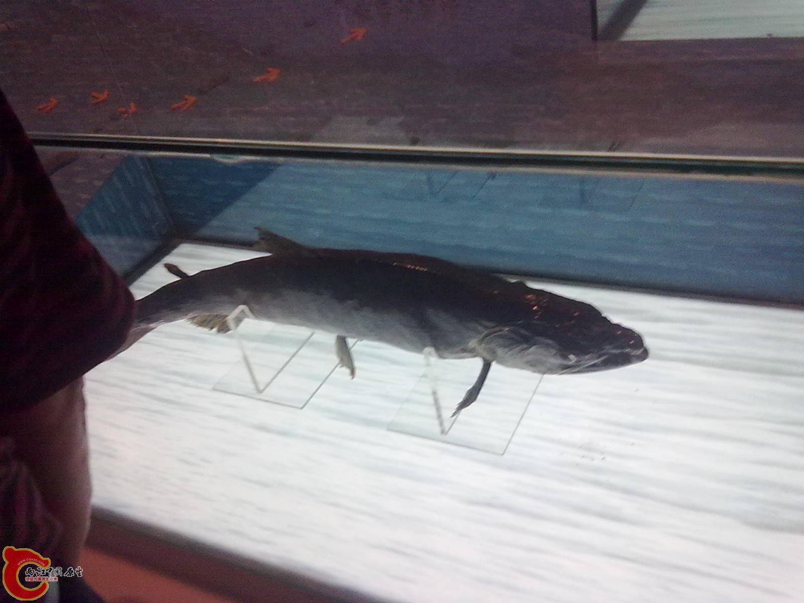 20110709522.jpg