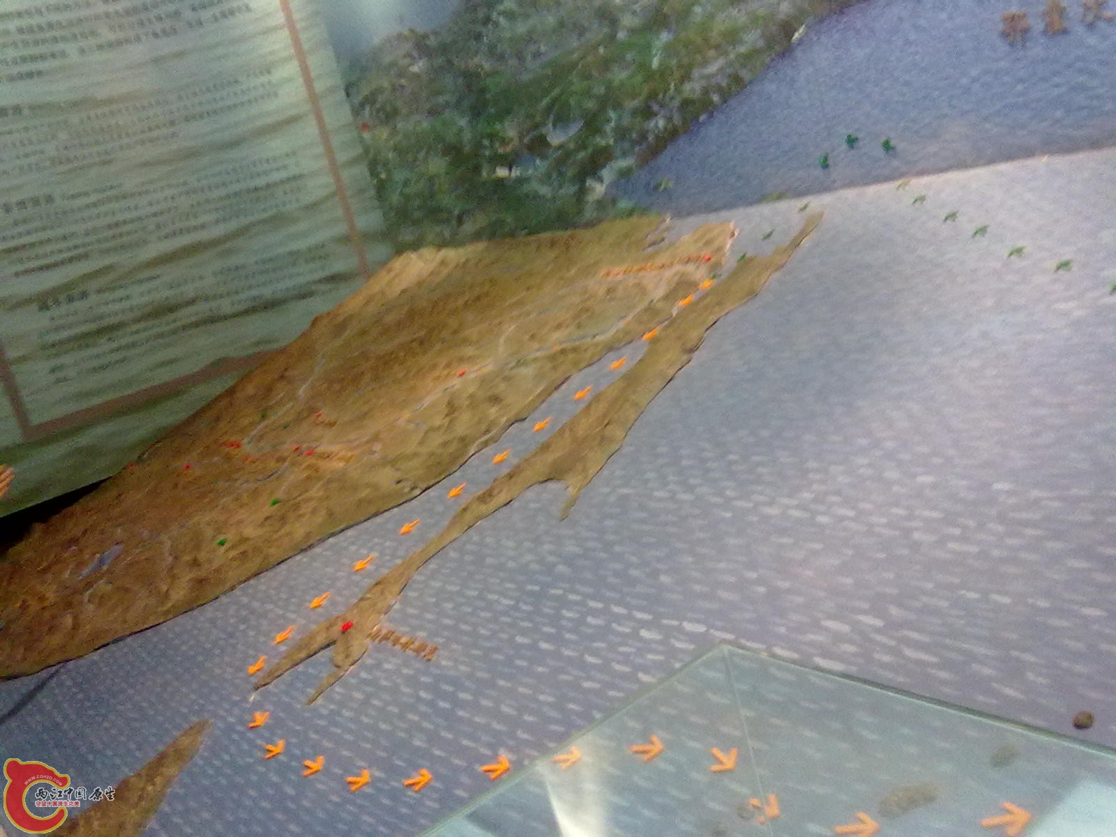 20110709523.jpg