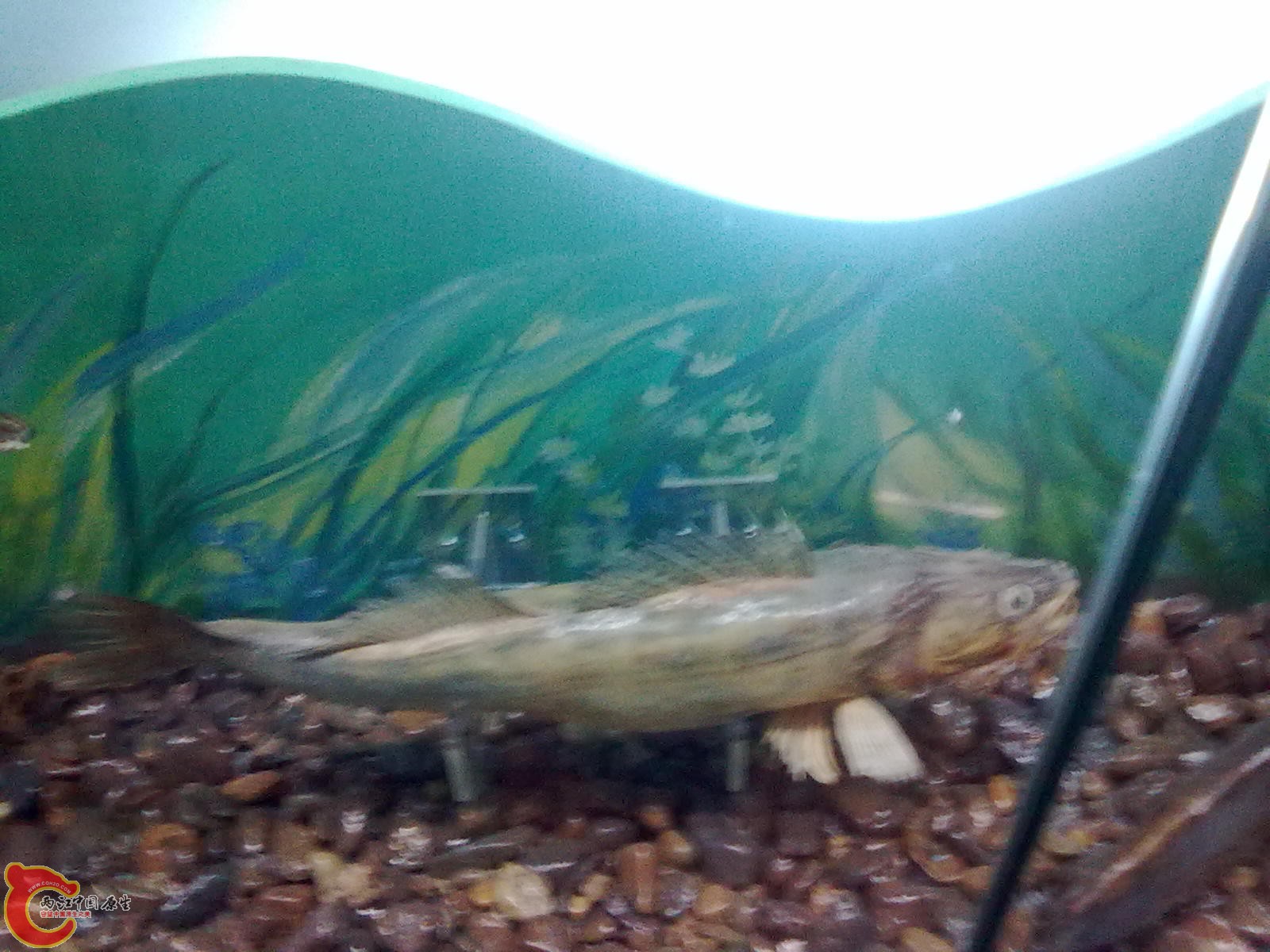 20110709526.jpg
