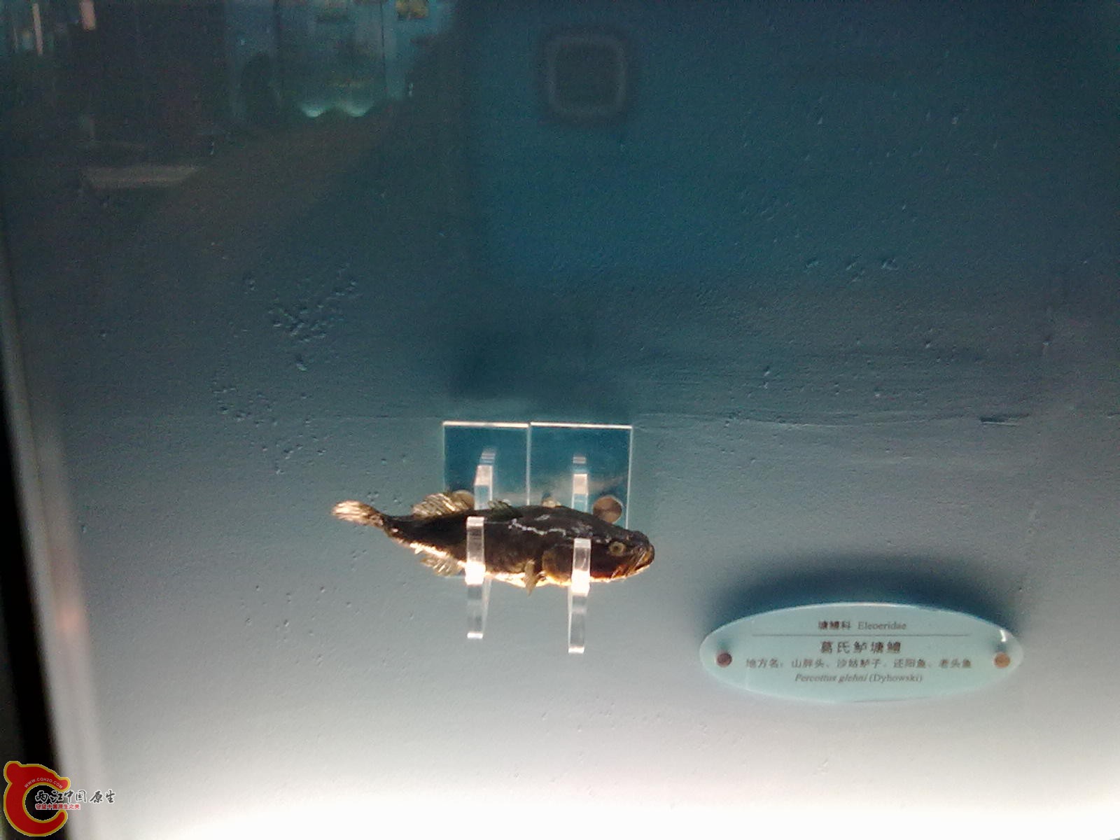 20110709528.jpg