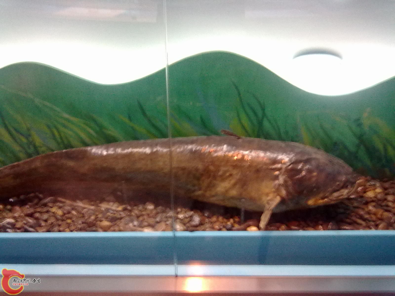 20110709530.jpg