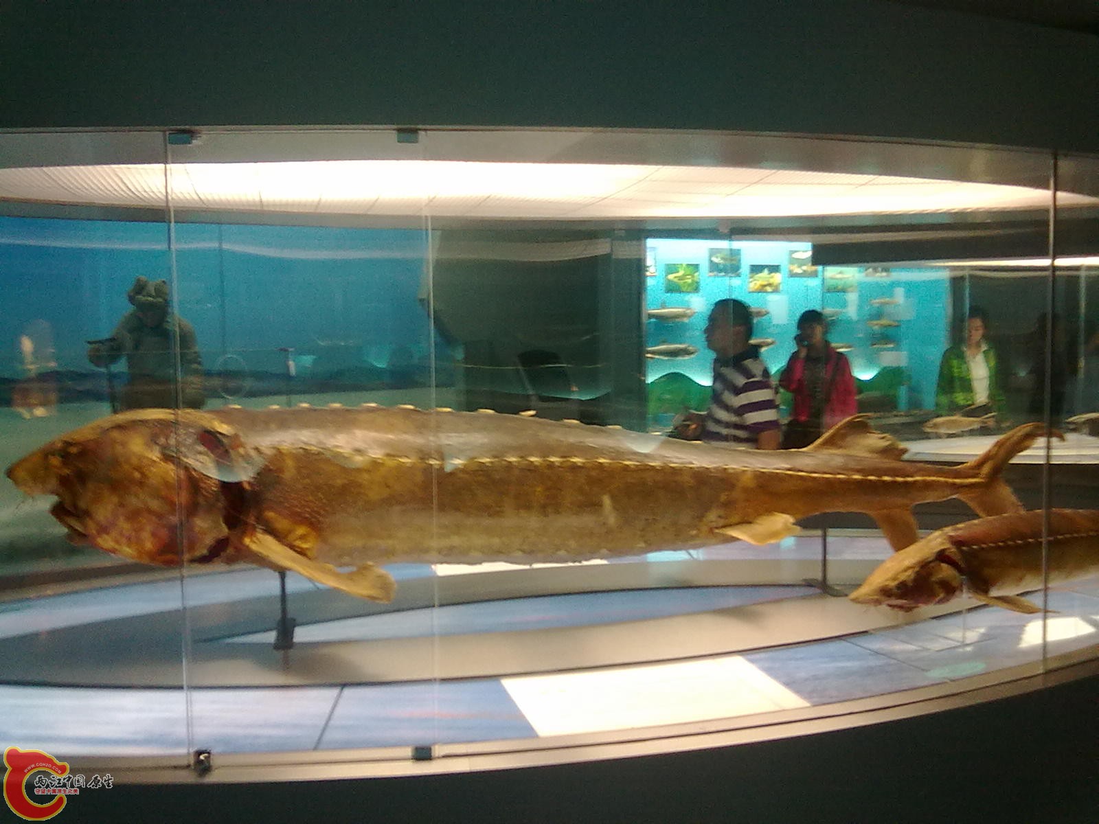 20110709531.jpg