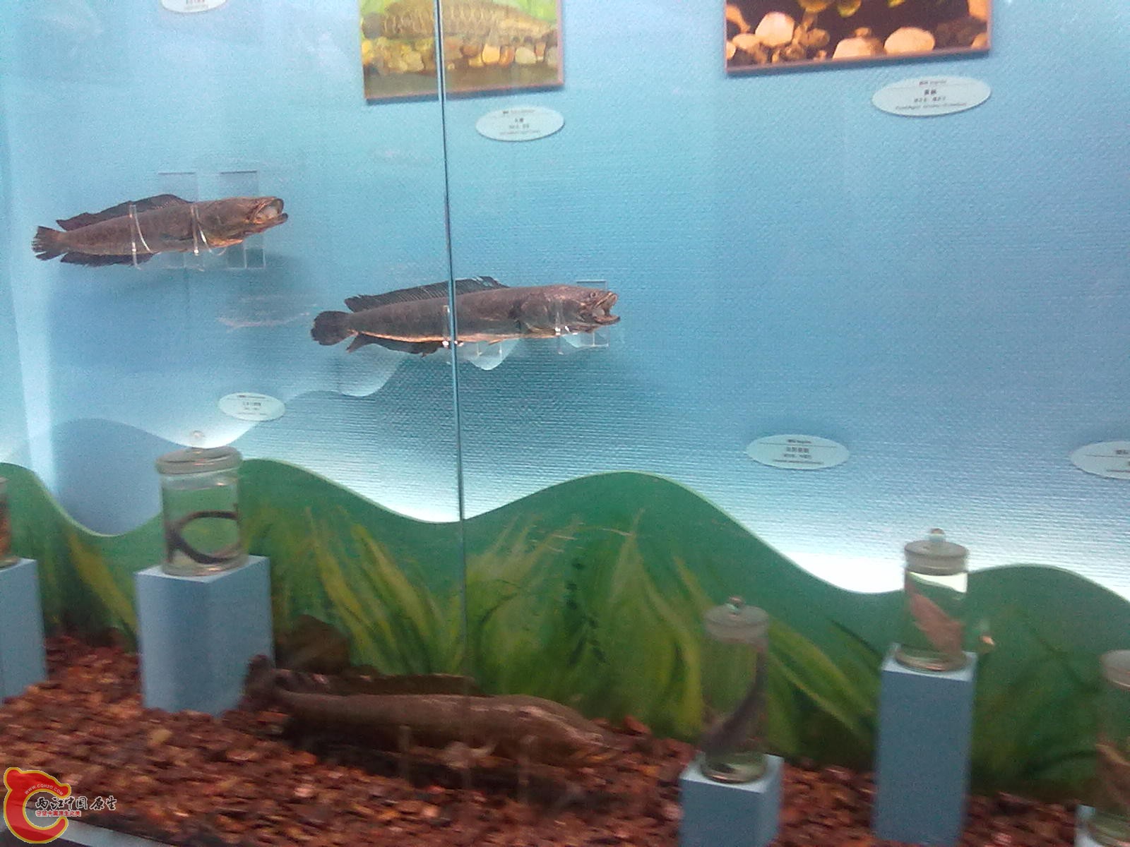 20110709535.jpg