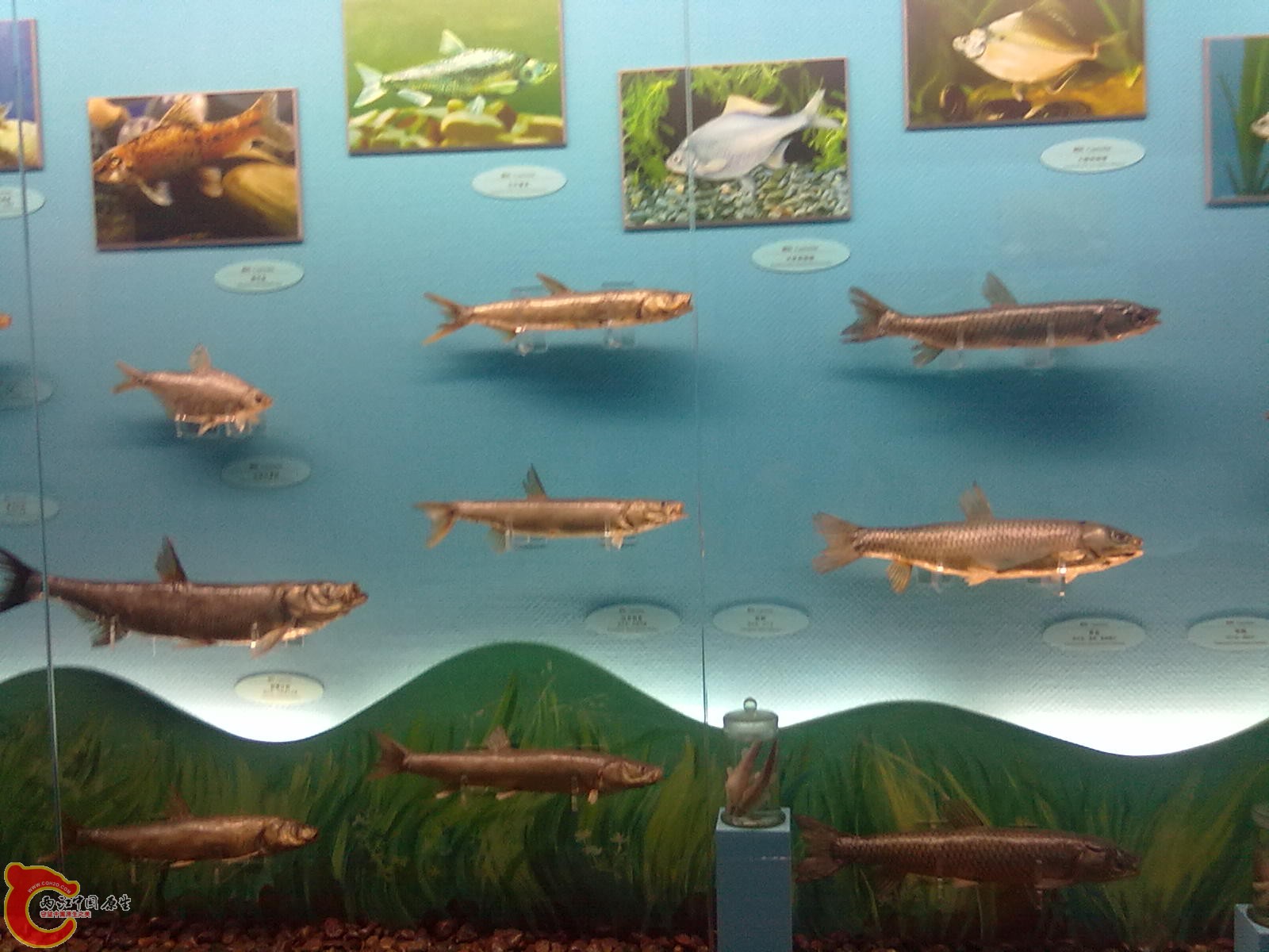 20110709536.jpg