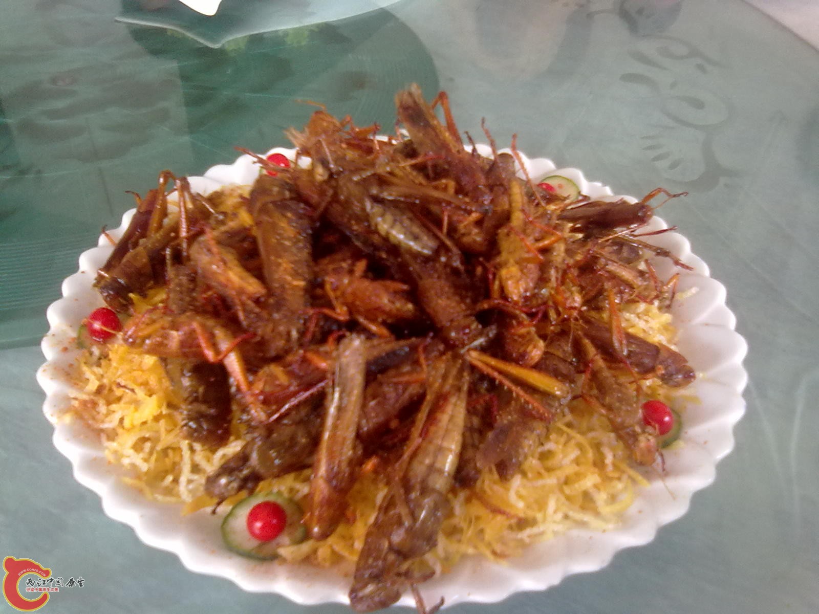20110709564.jpg