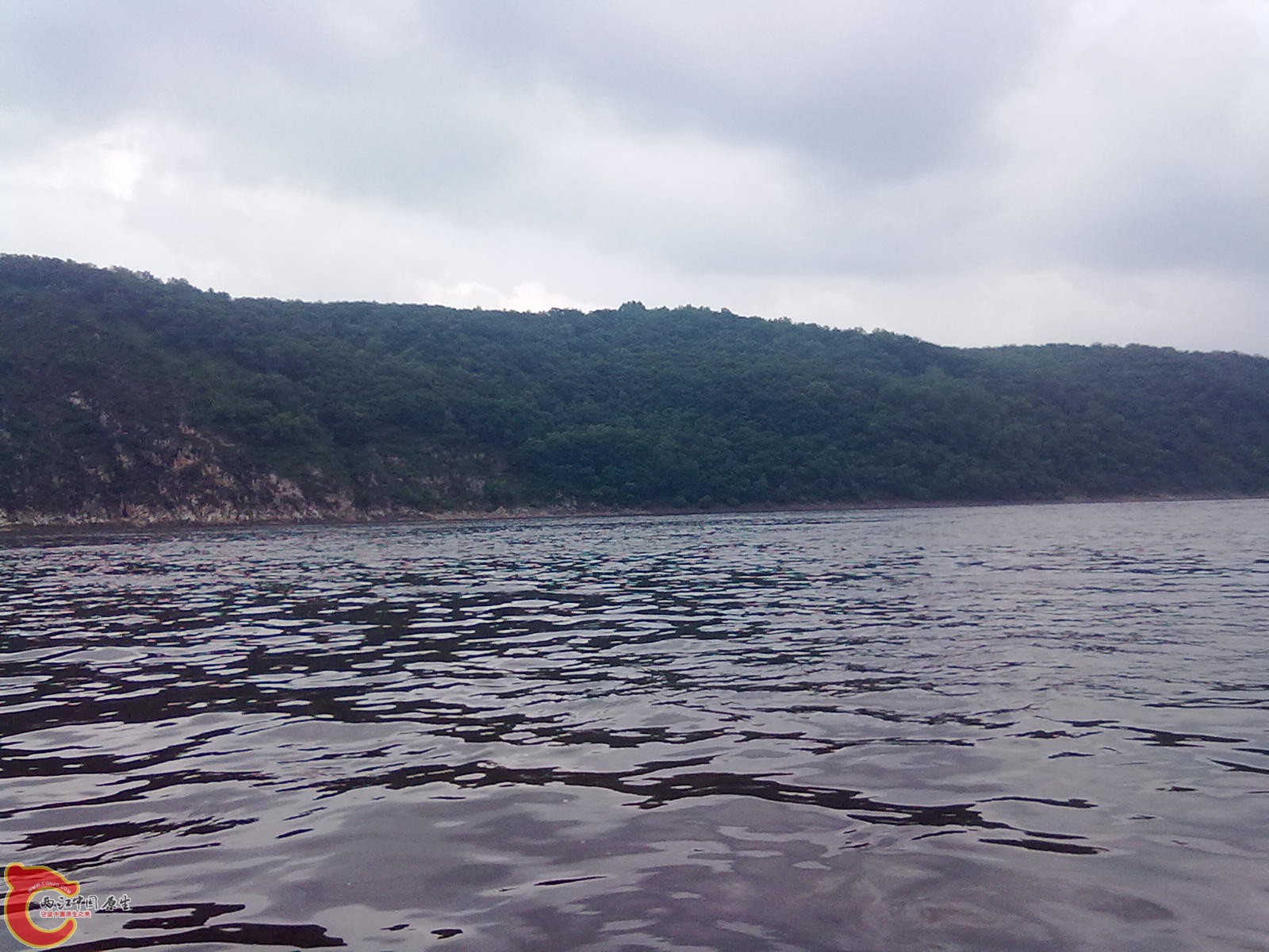 20110709573.jpg