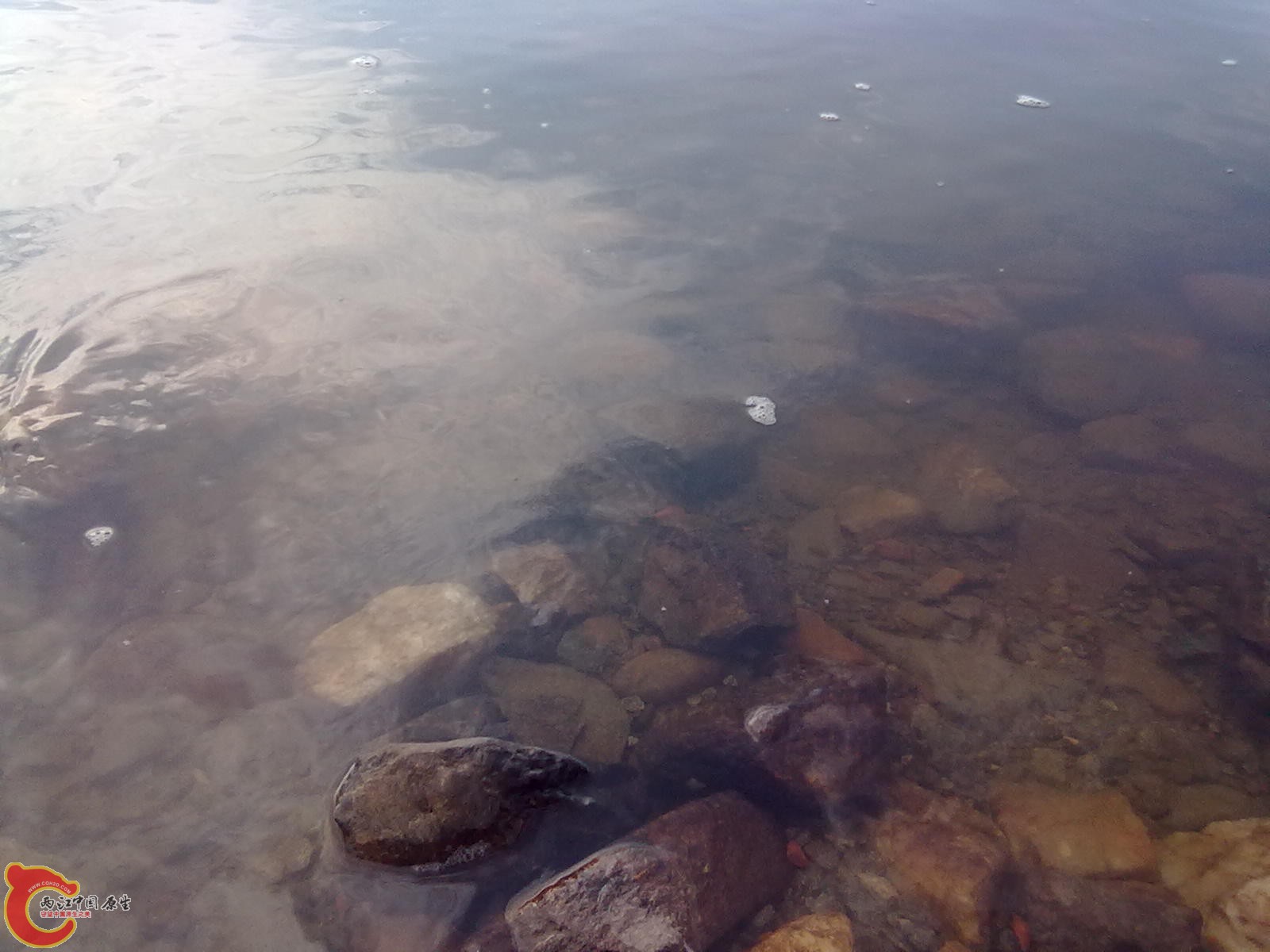 20110710585.jpg