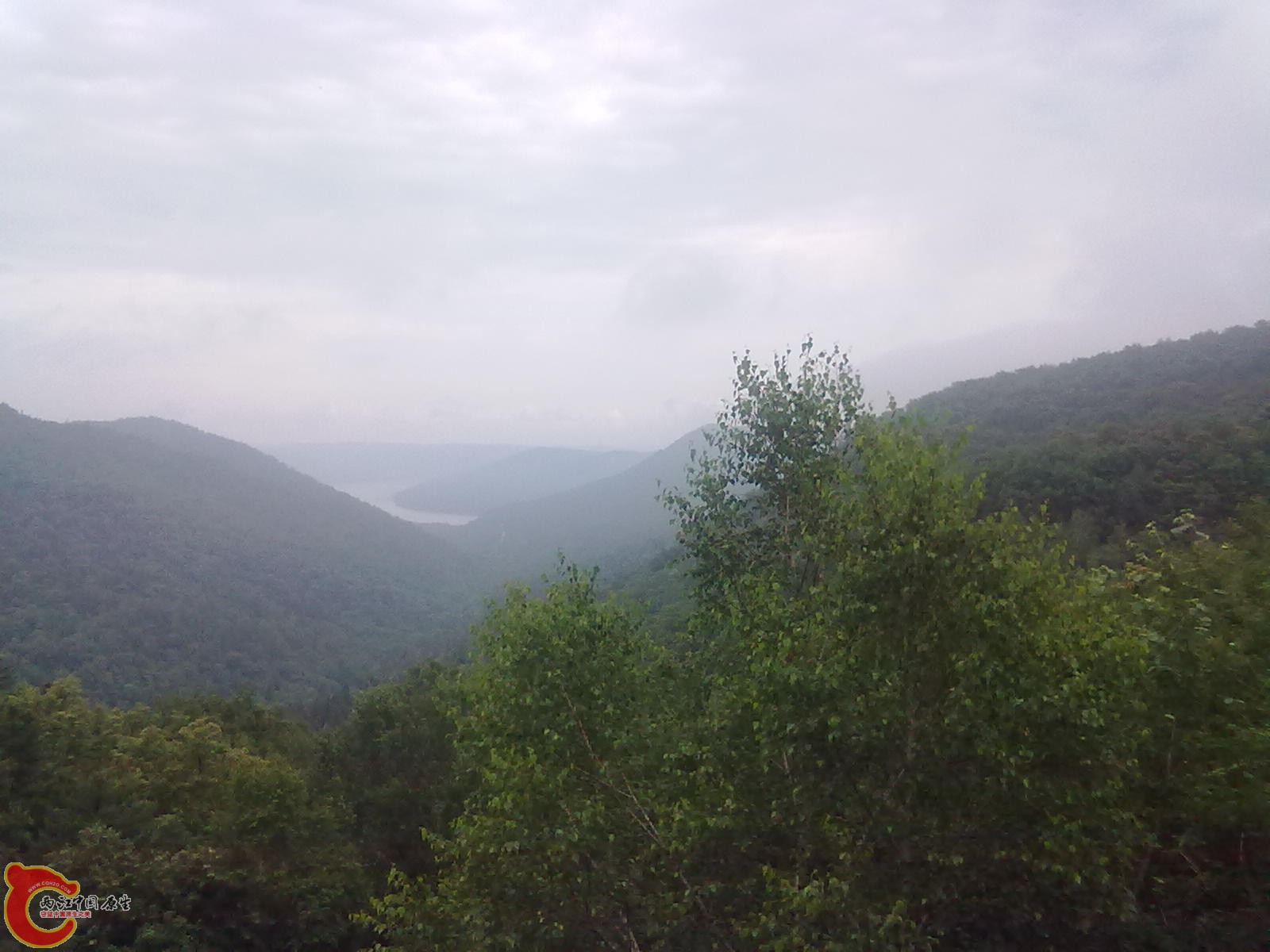 20110710586.jpg